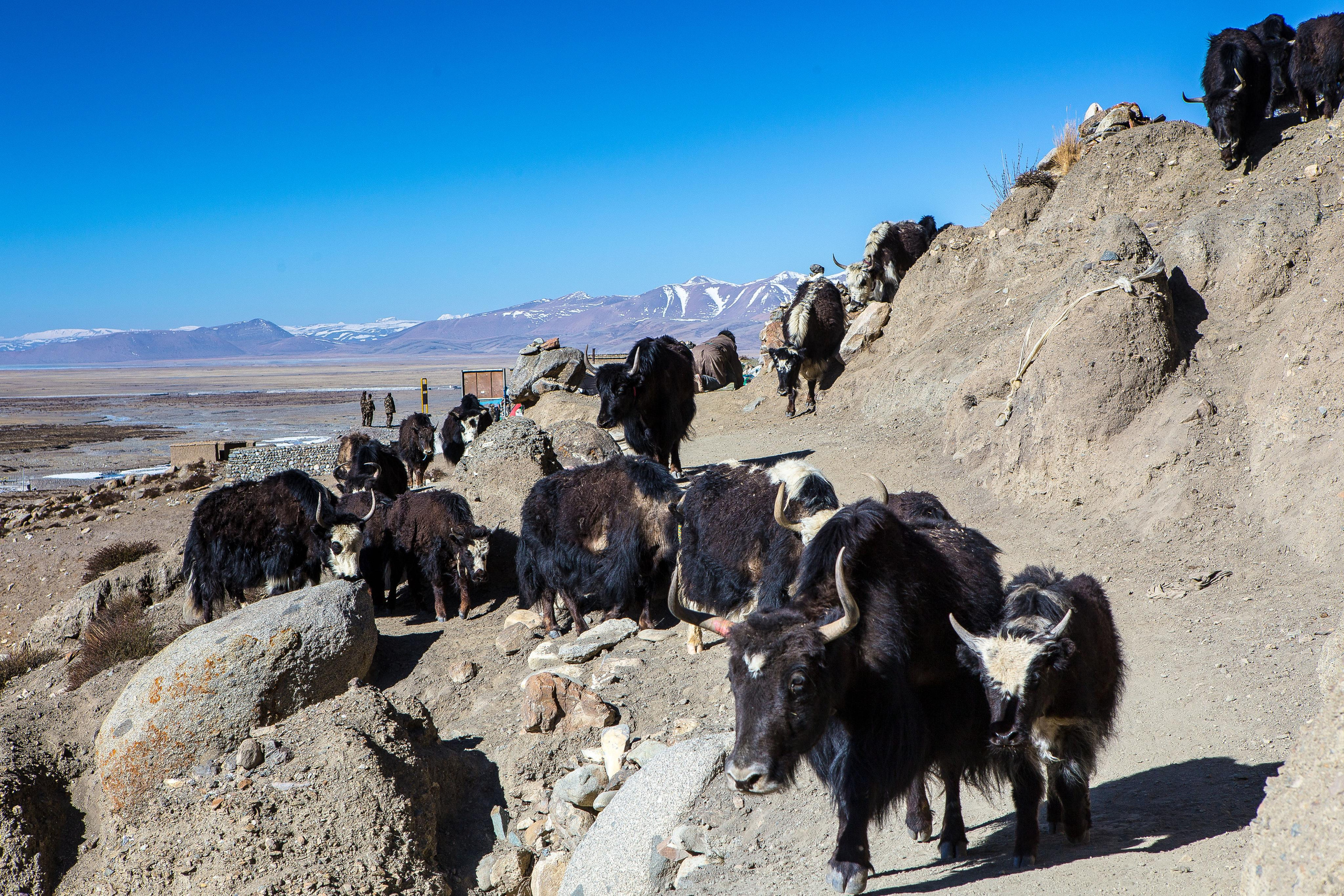 Китай, Тибет, Кора вокруг Кайласа, 2014. Творческие сьемки