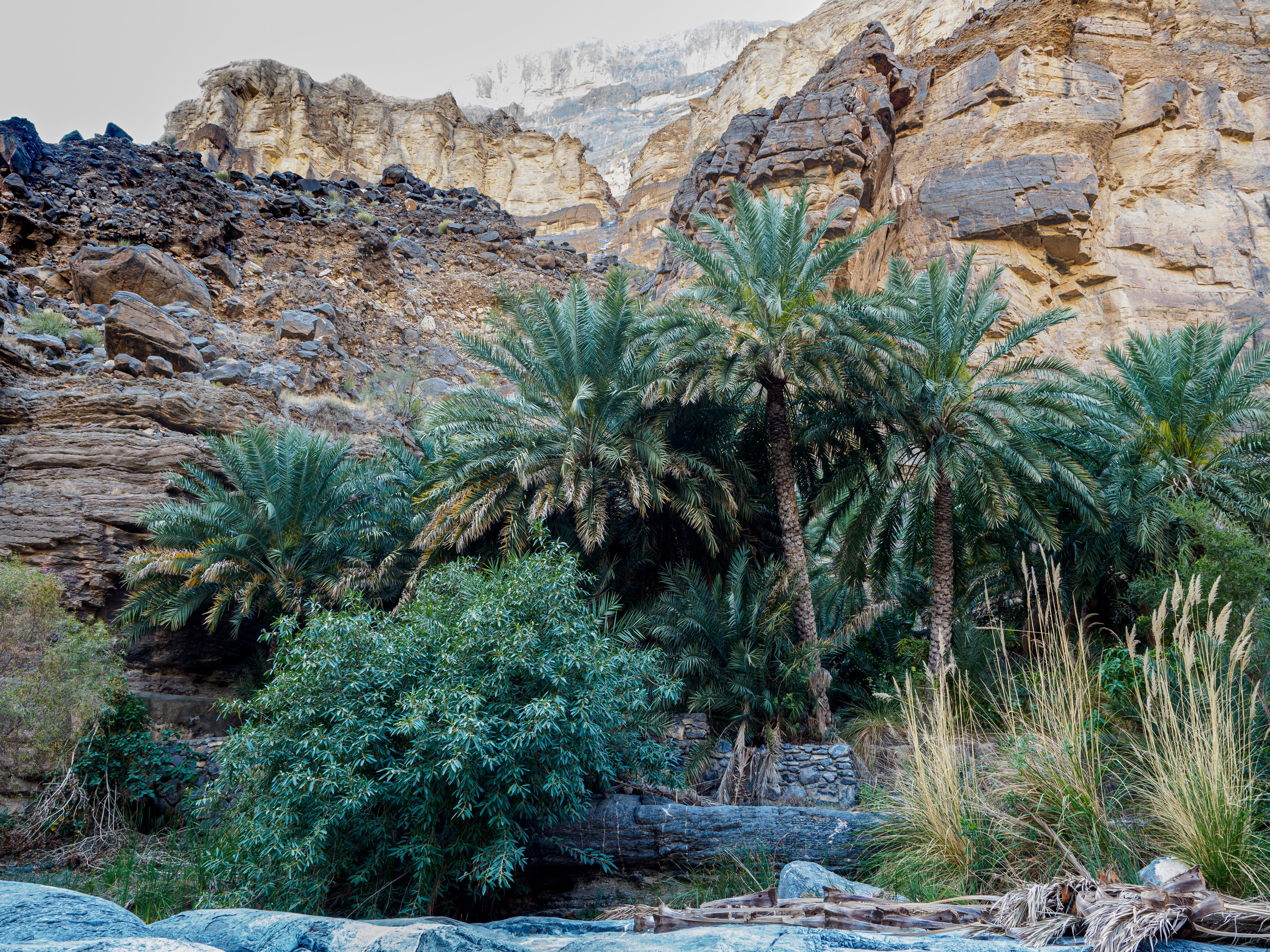 Оман. Творческие сьемки