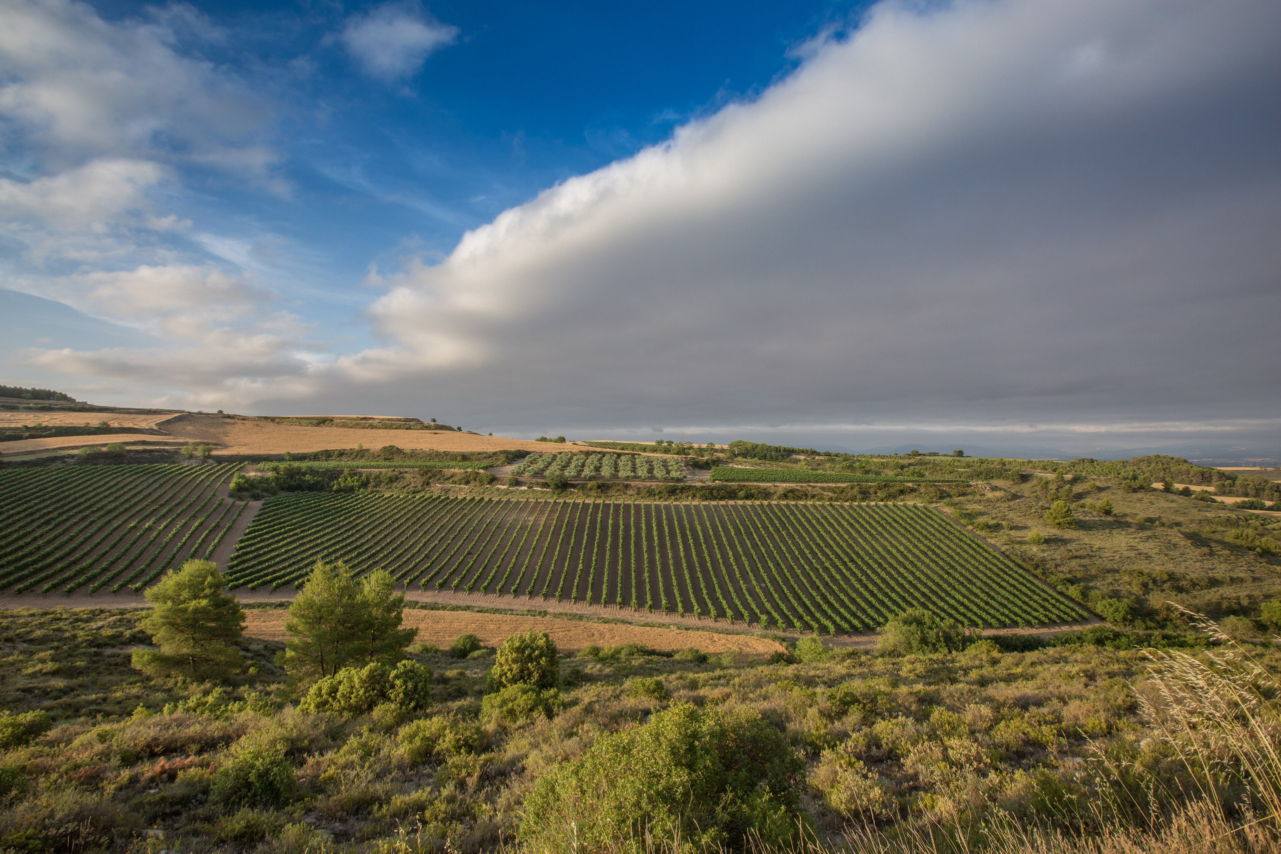 Испания, 2017, Путь Сантьяго из Сен-Жан-Пье-де-По. Творческие сьемки