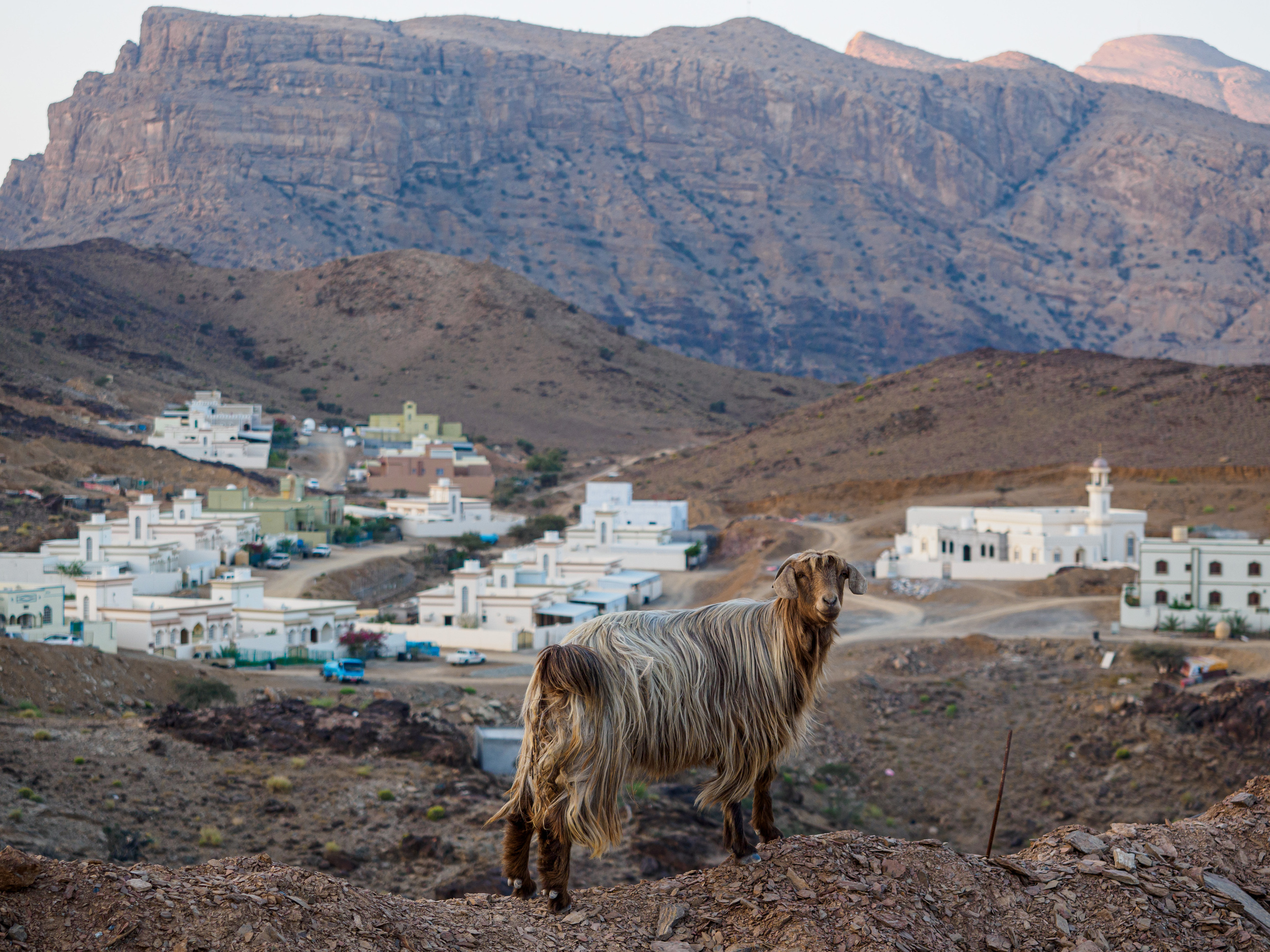 Оман. Творческие сьемки