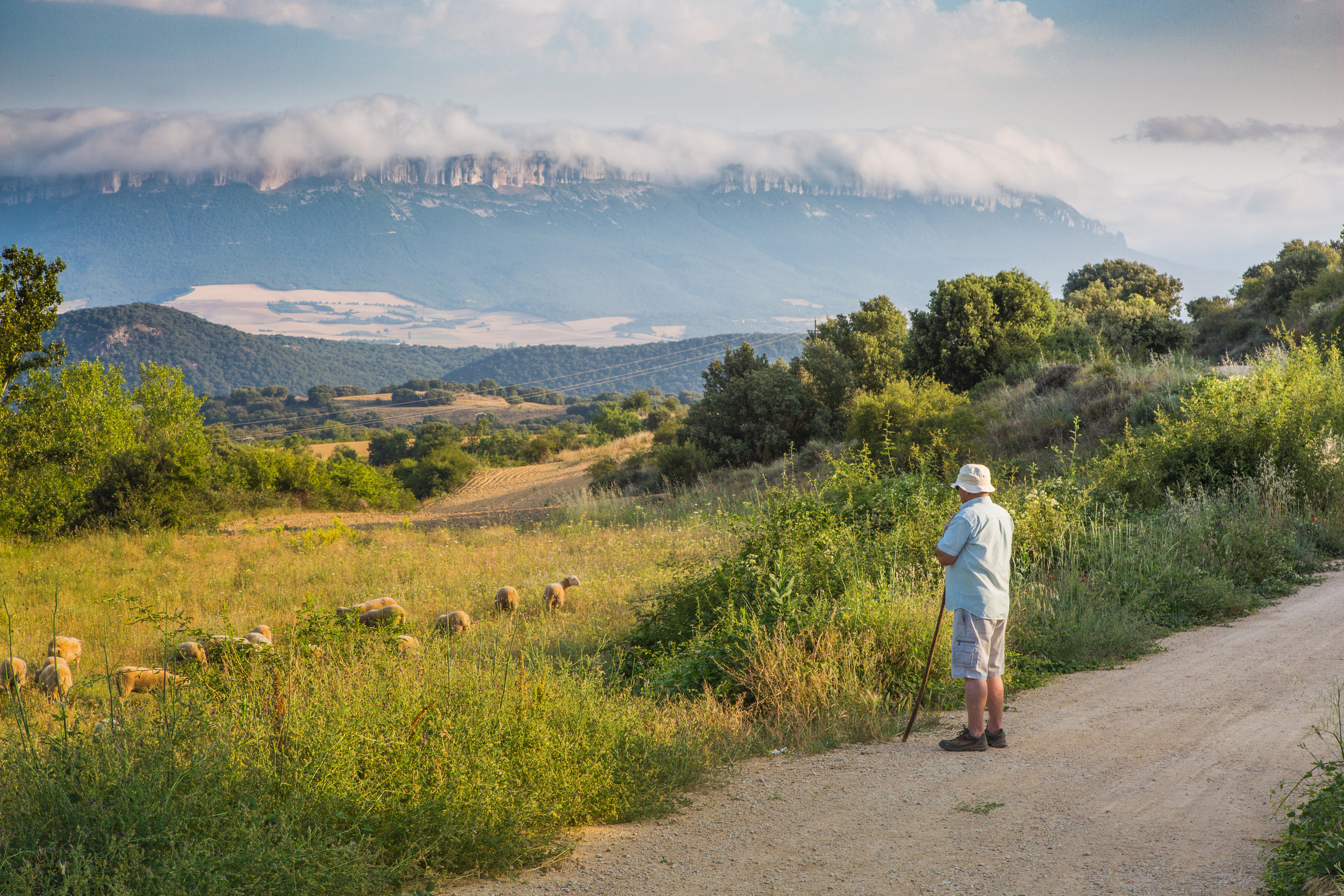 Испания, 2017, Путь Сантьяго из Сен-Жан-Пье-де-По. Творческие сьемки