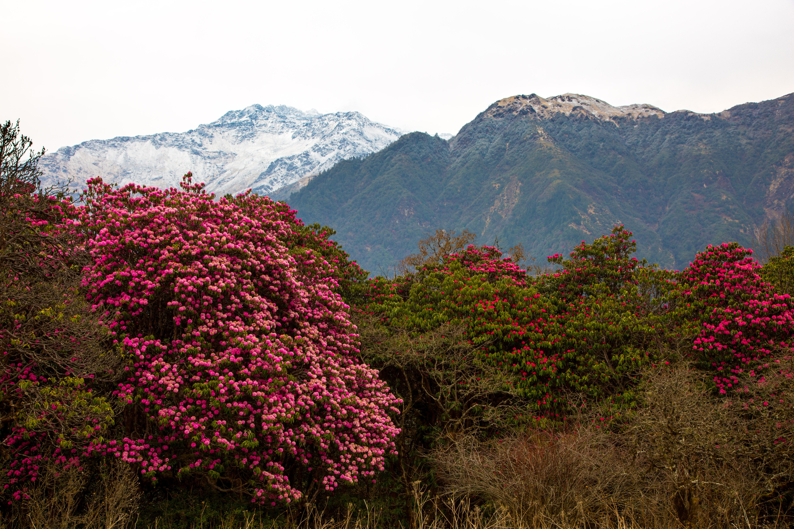 Непал. Творческие сьемки