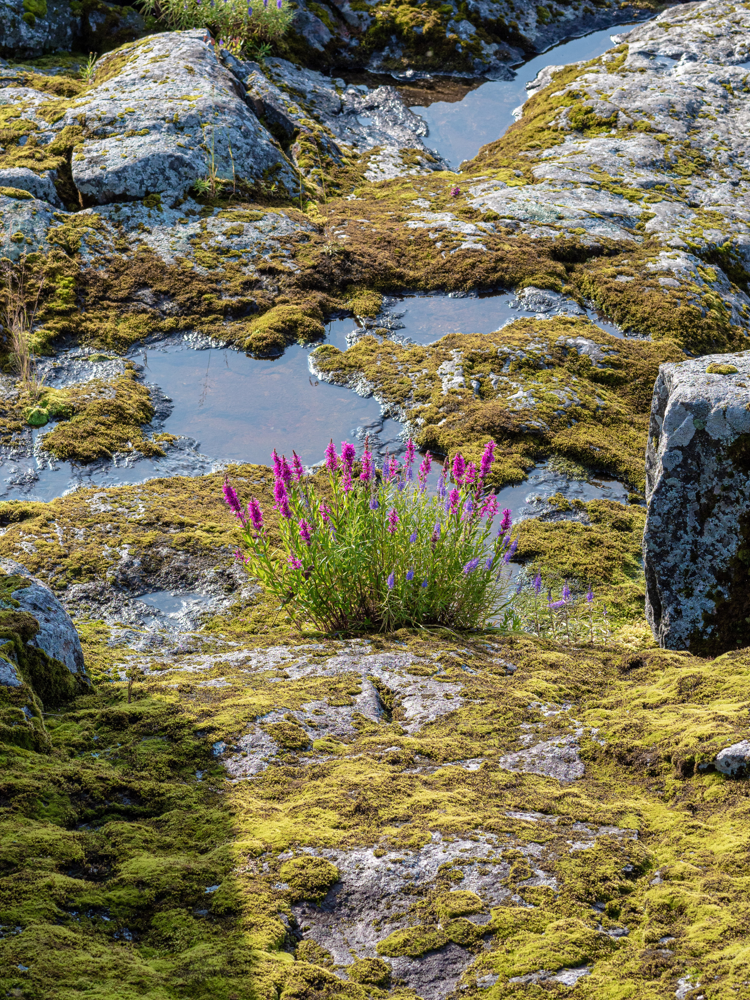 Карелия, Ладога. Творческие сьемки