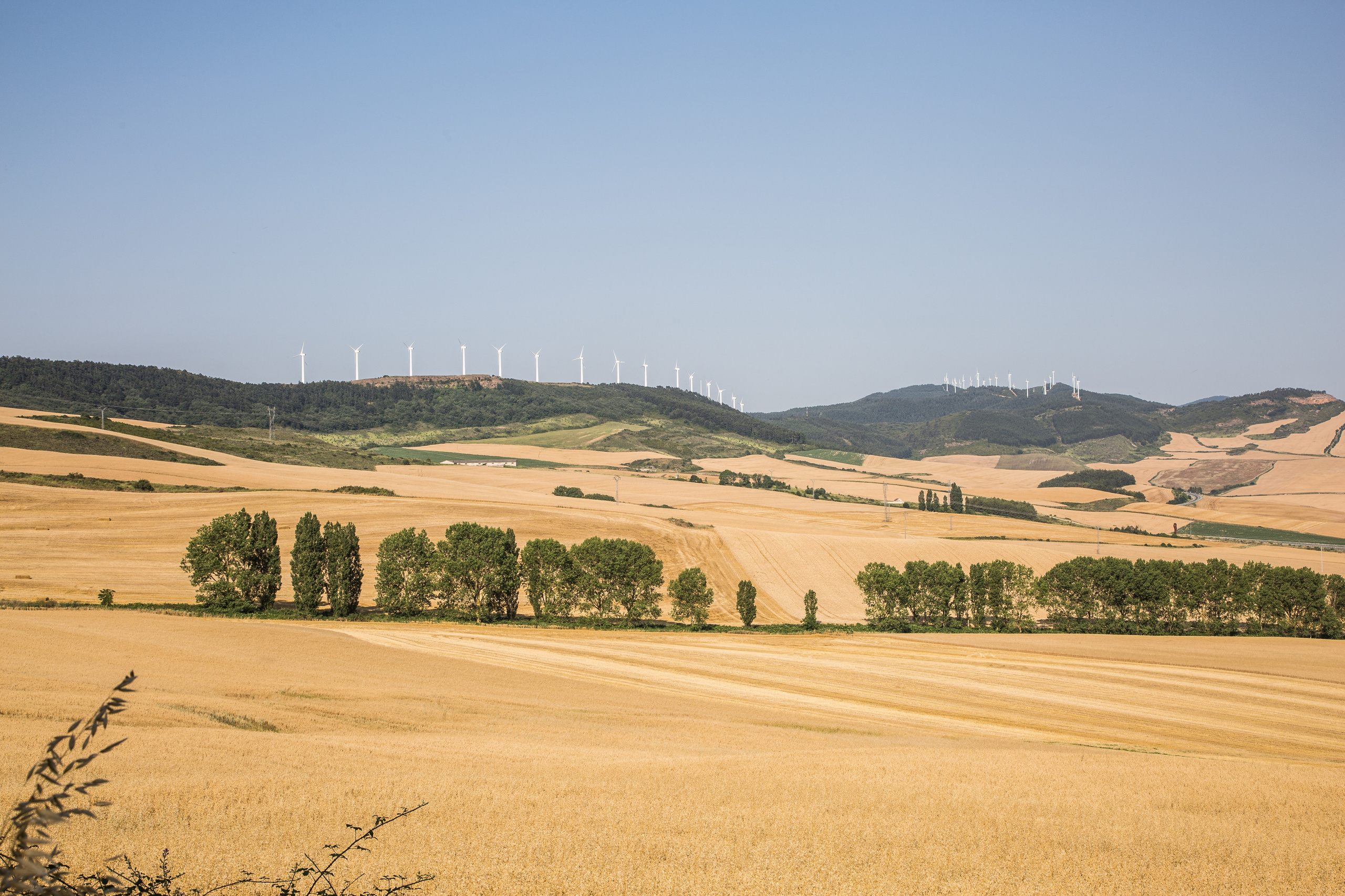 Испания, 2017, Путь Сантьяго из Сен-Жан-Пье-де-По. Творческие сьемки