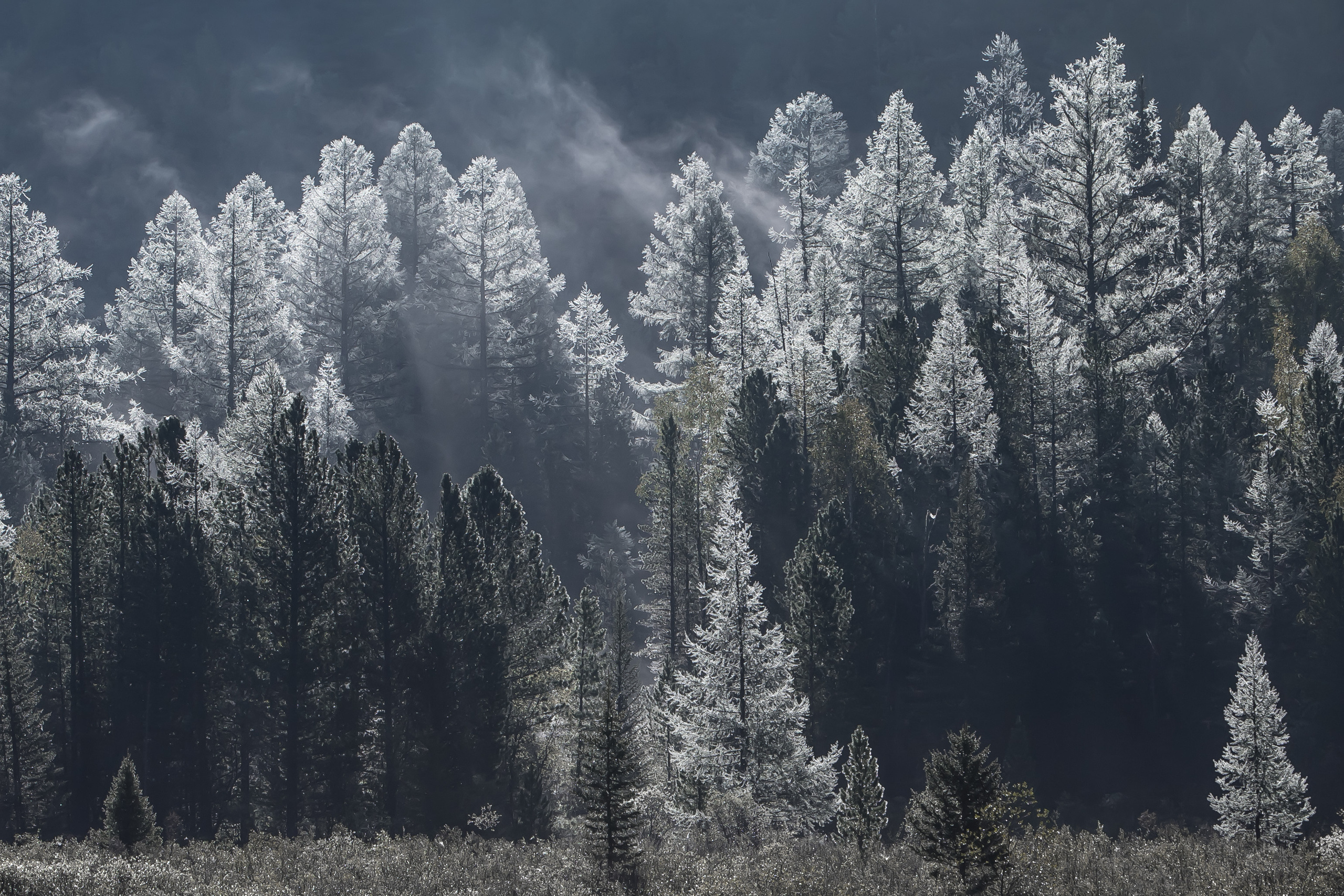 Алтай. Творческие сьемки