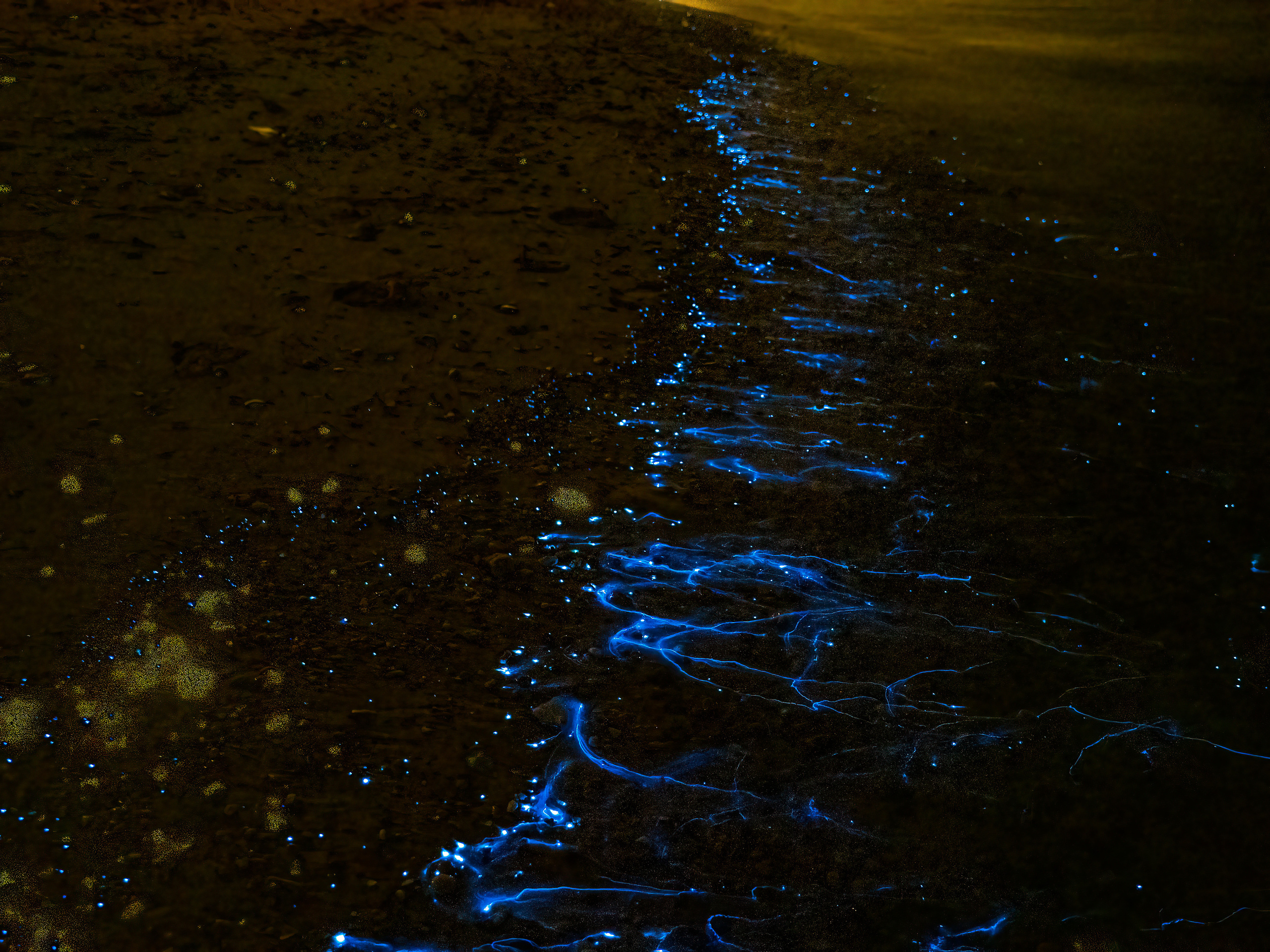 Оман. Творческие сьемки