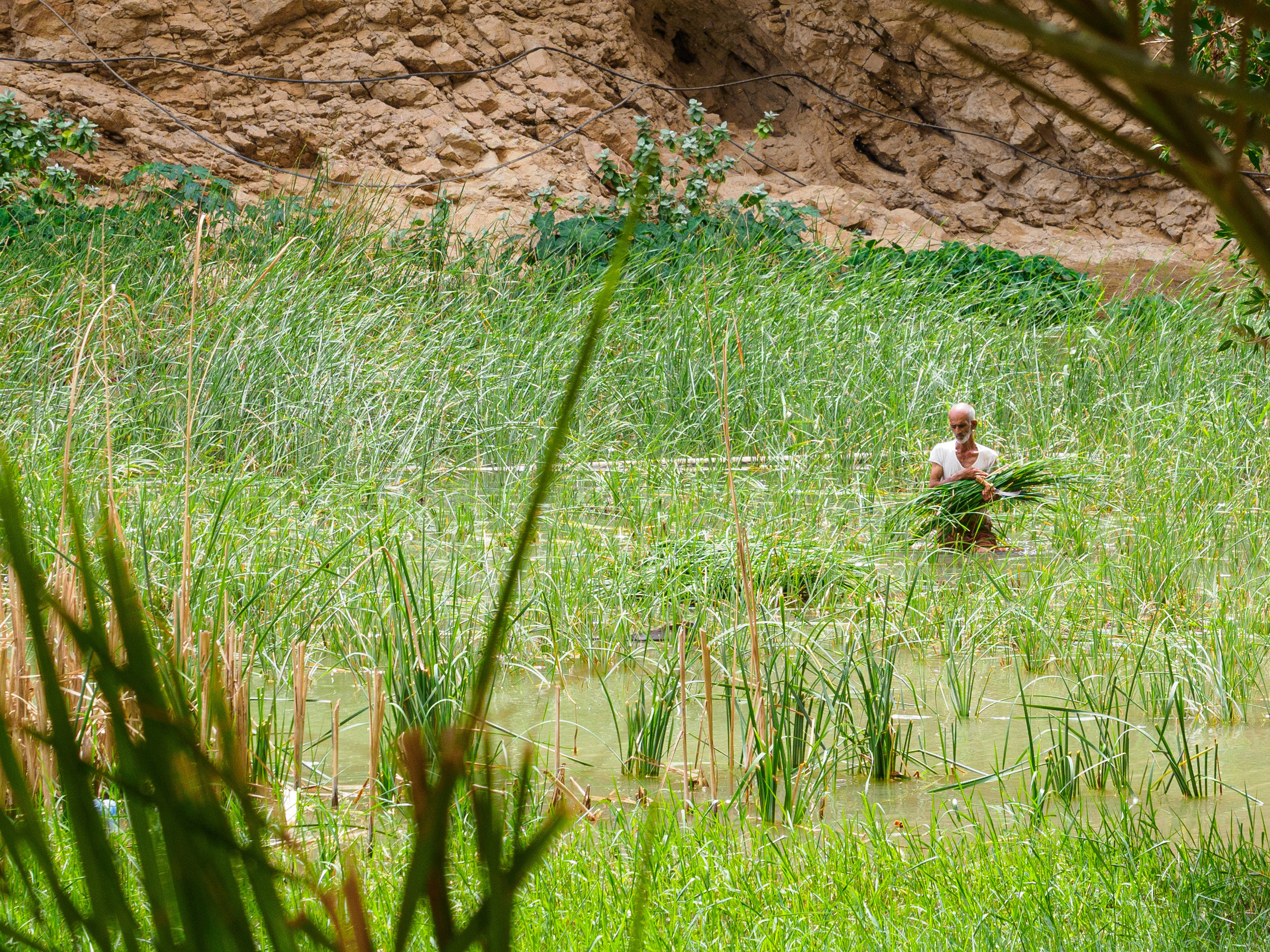 Оман. Творческие сьемки