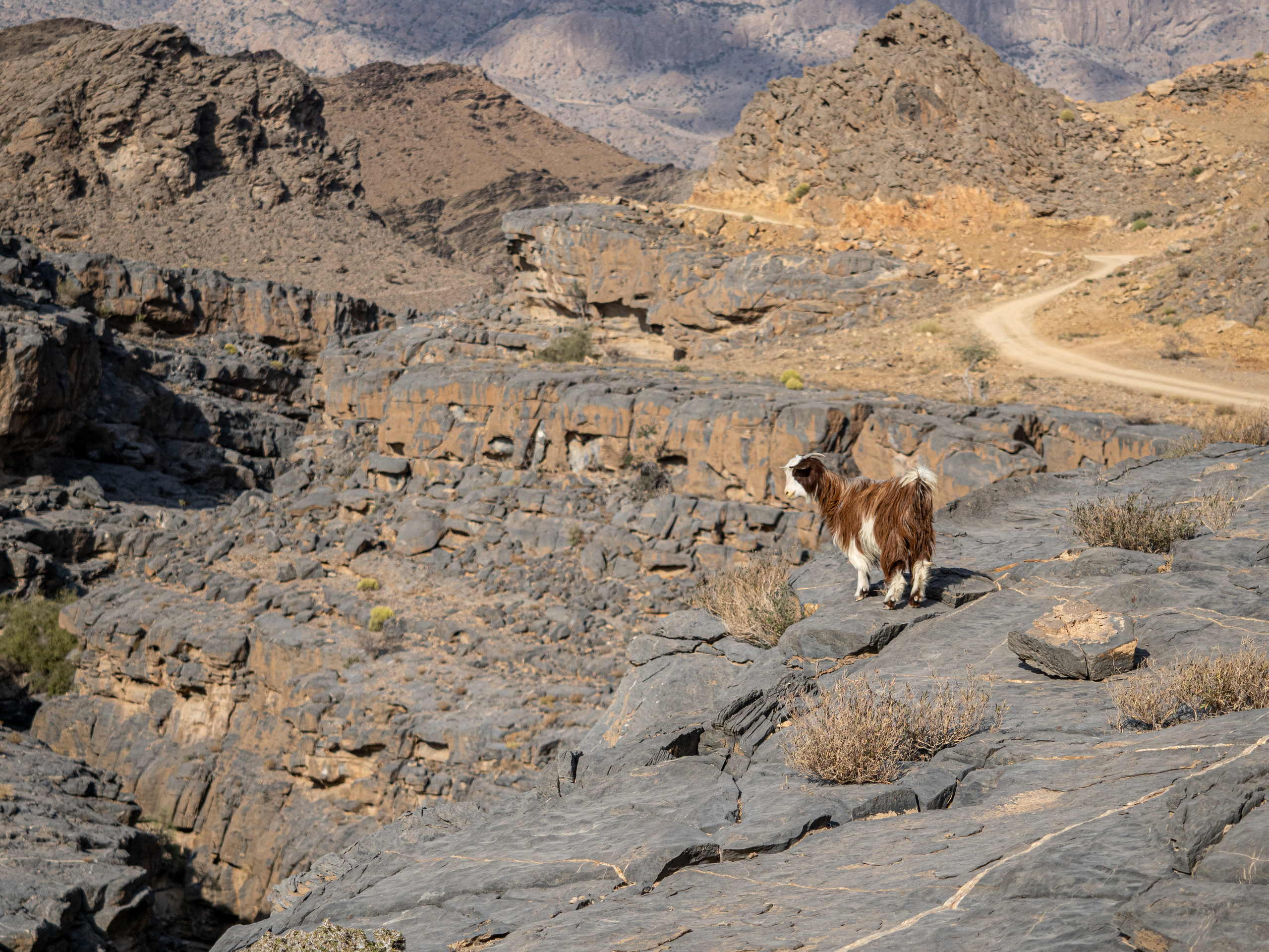 Оман. Творческие сьемки