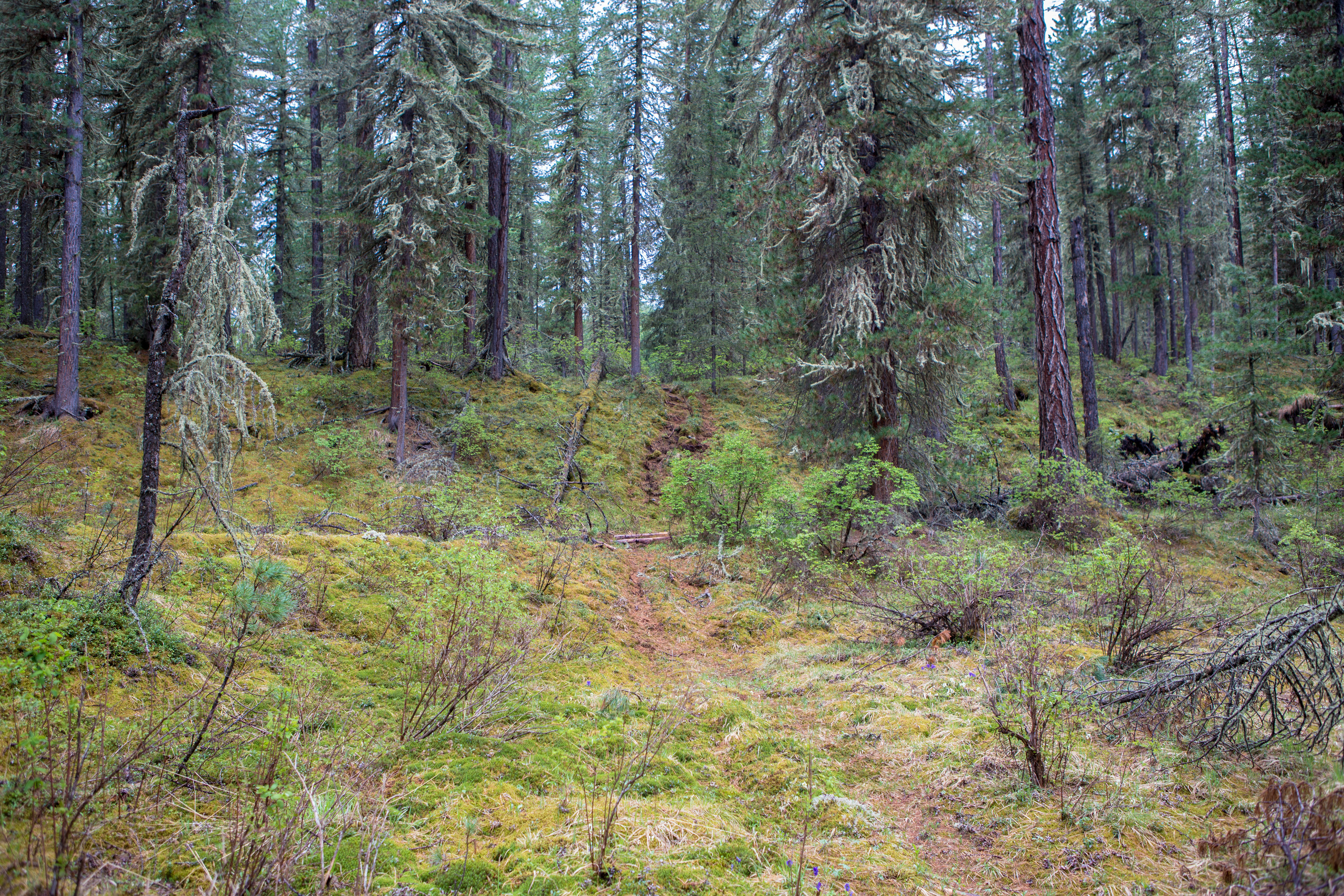 Алтай. Творческие сьемки