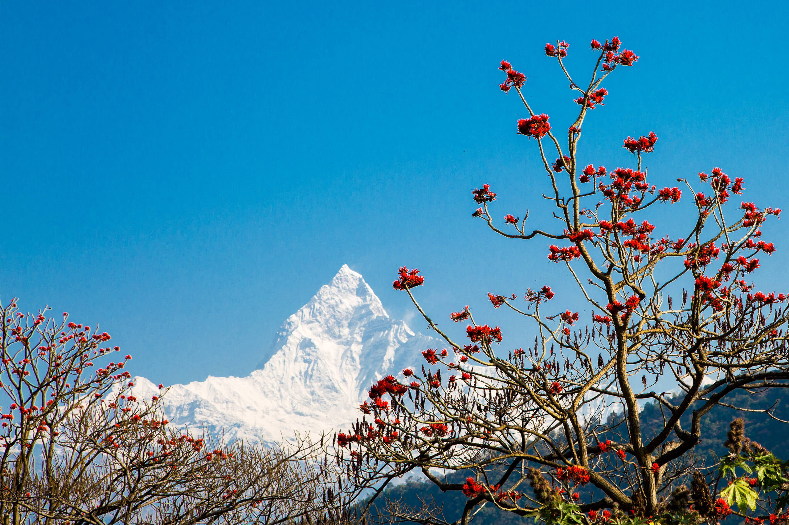 Непал. Творческие сьемки