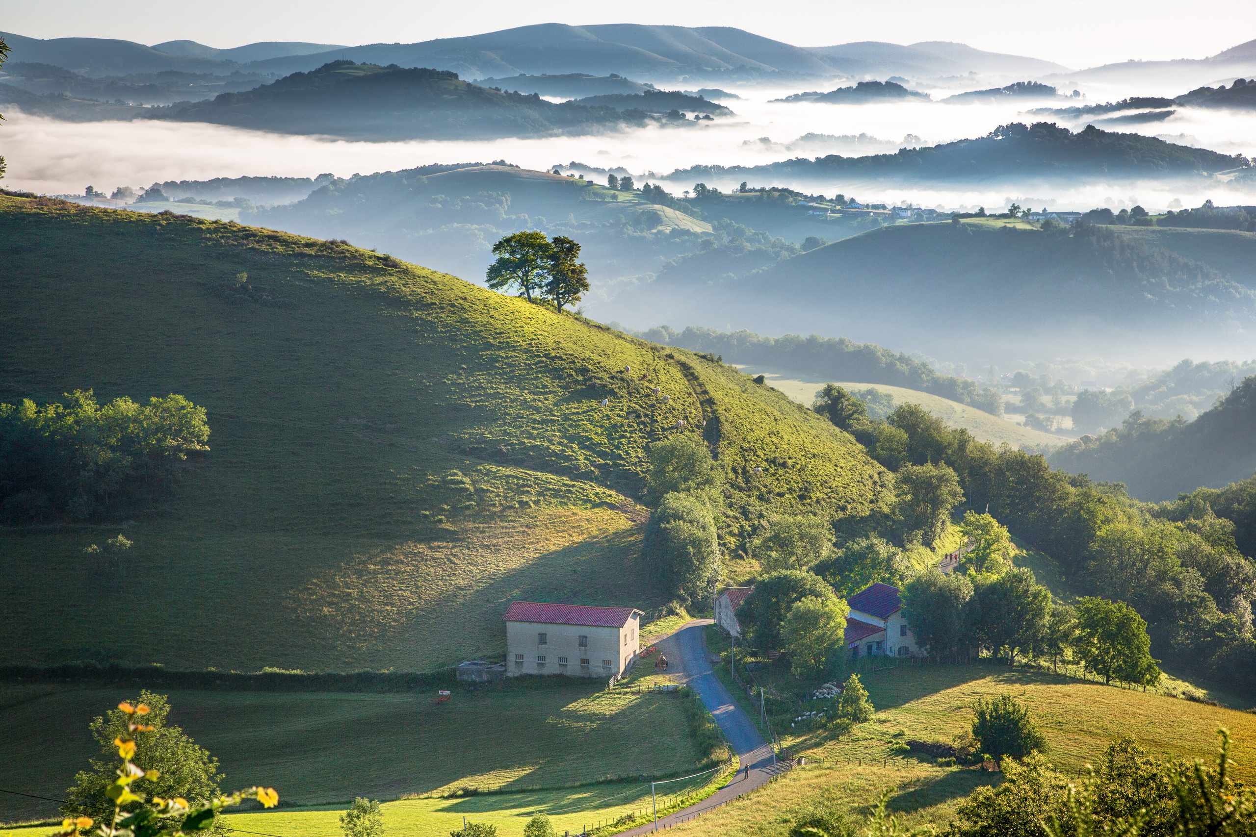Испания, 2017, Путь Сантьяго из Сен-Жан-Пье-де-По. Творческие сьемки