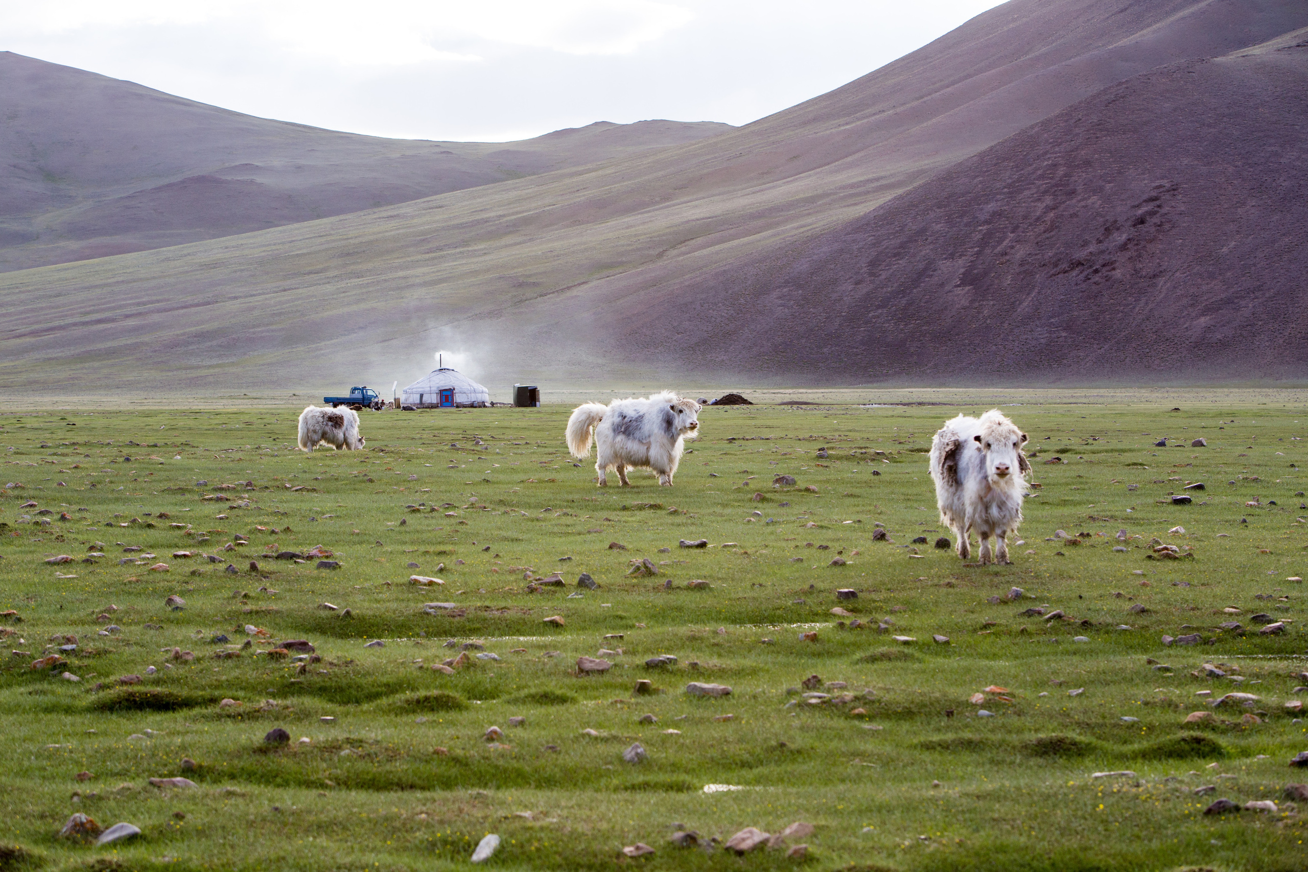 Монголия. Творческие сьемки
