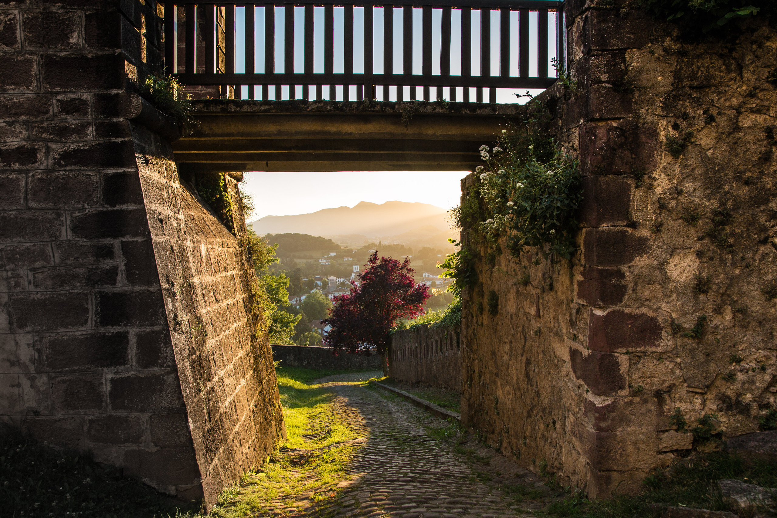 Испания, 2017, Путь Сантьяго из Сен-Жан-Пье-де-По. Творческие сьемки