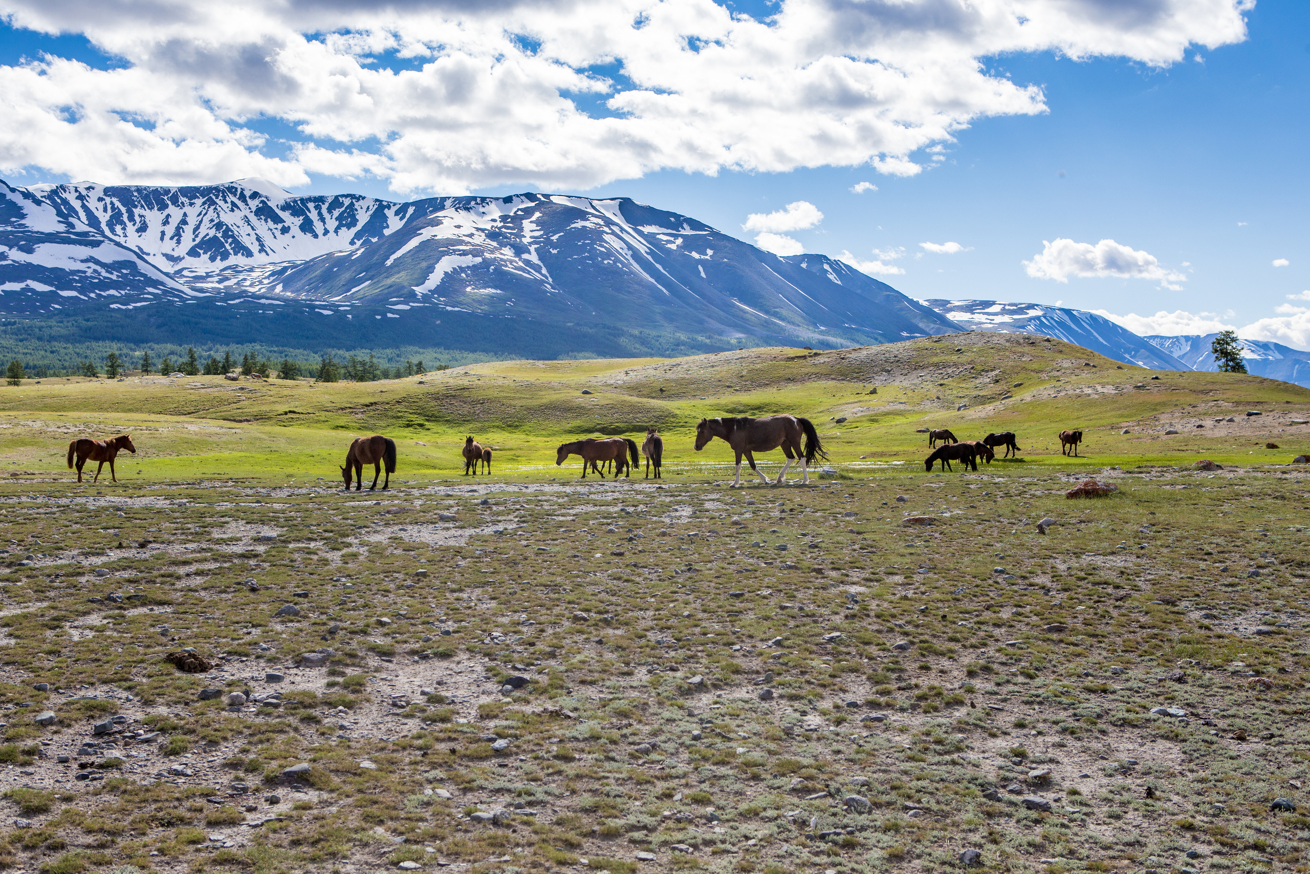 Монголия. Творческие сьемки