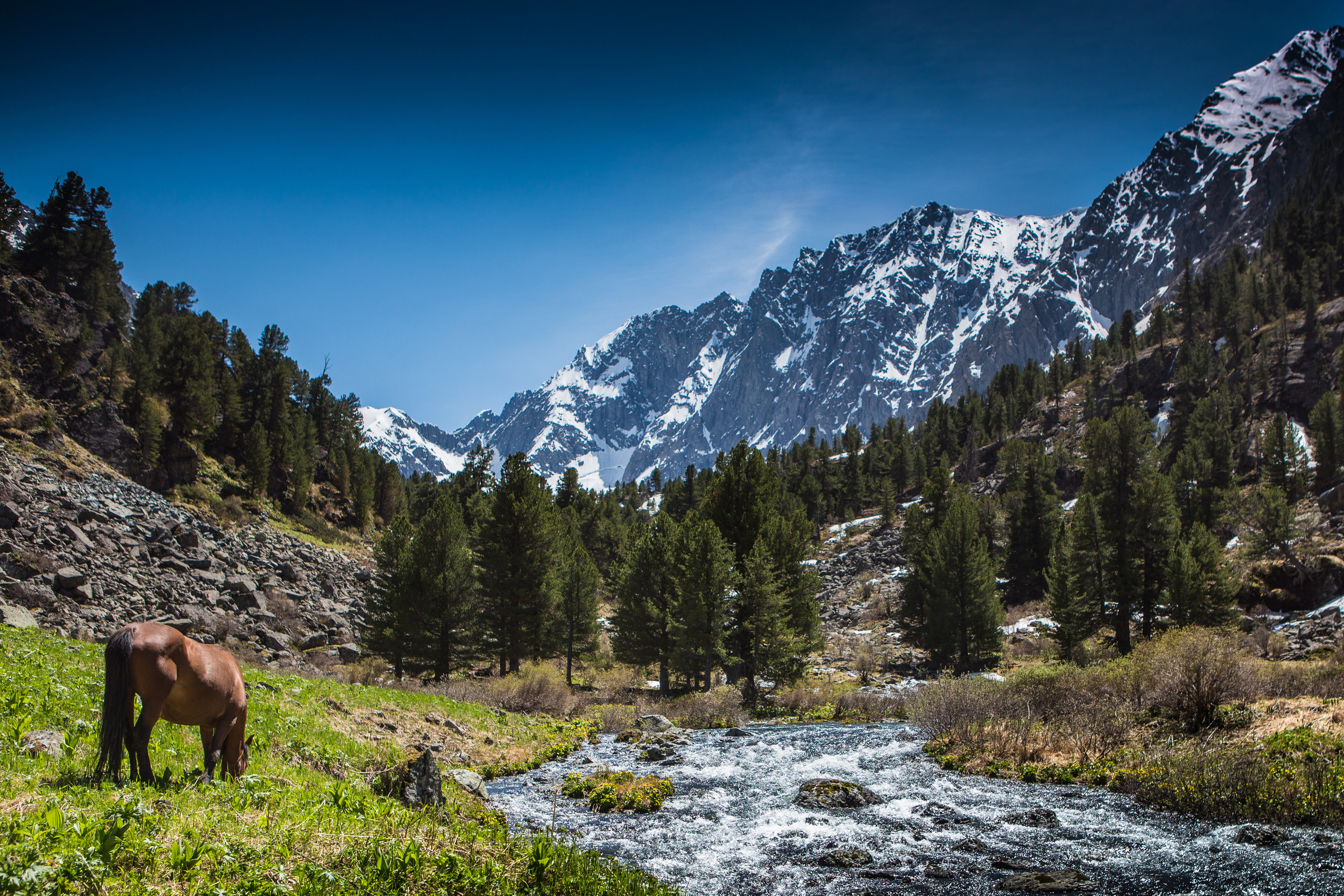 Алтай. Творческие сьемки