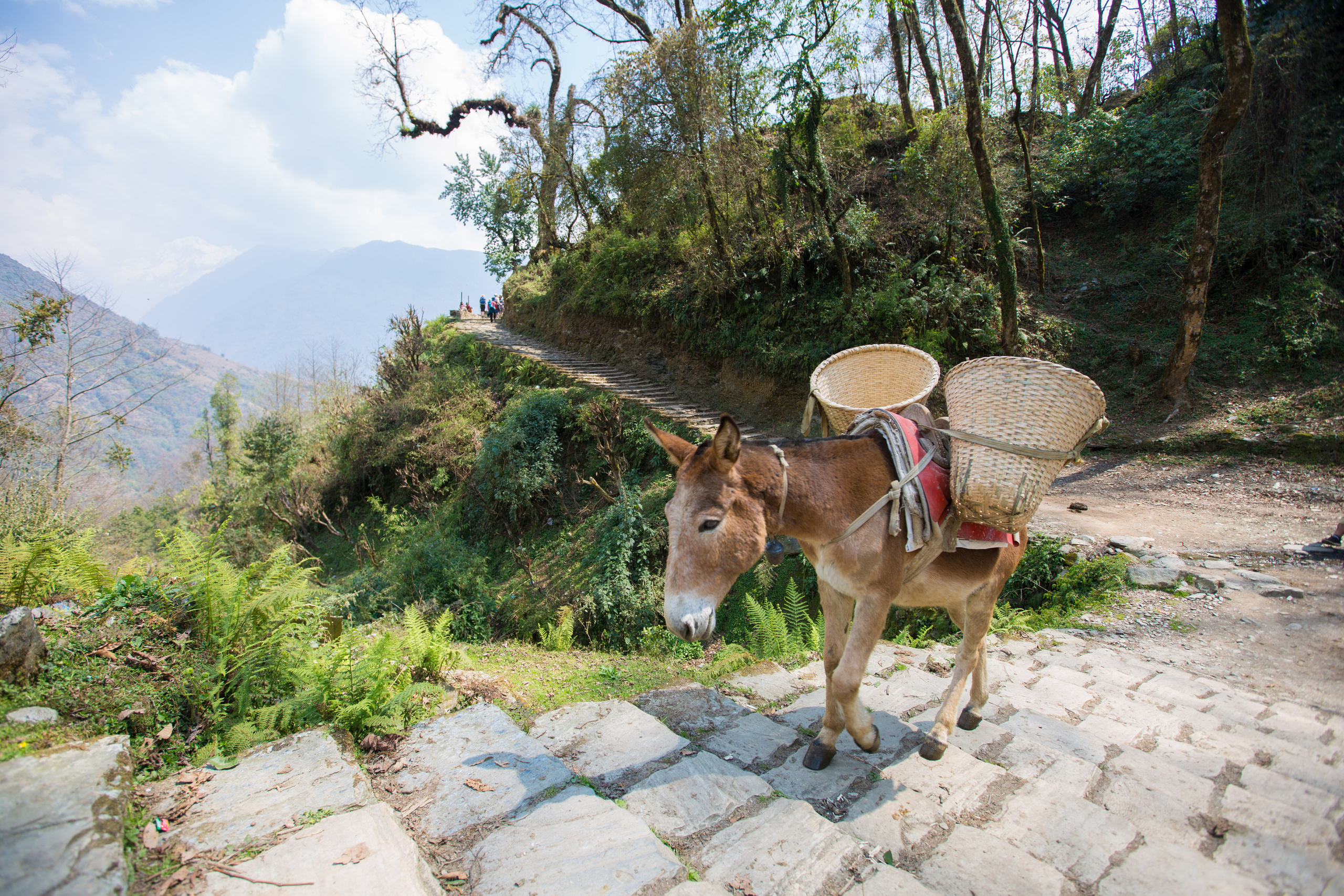 Непал. Творческие сьемки