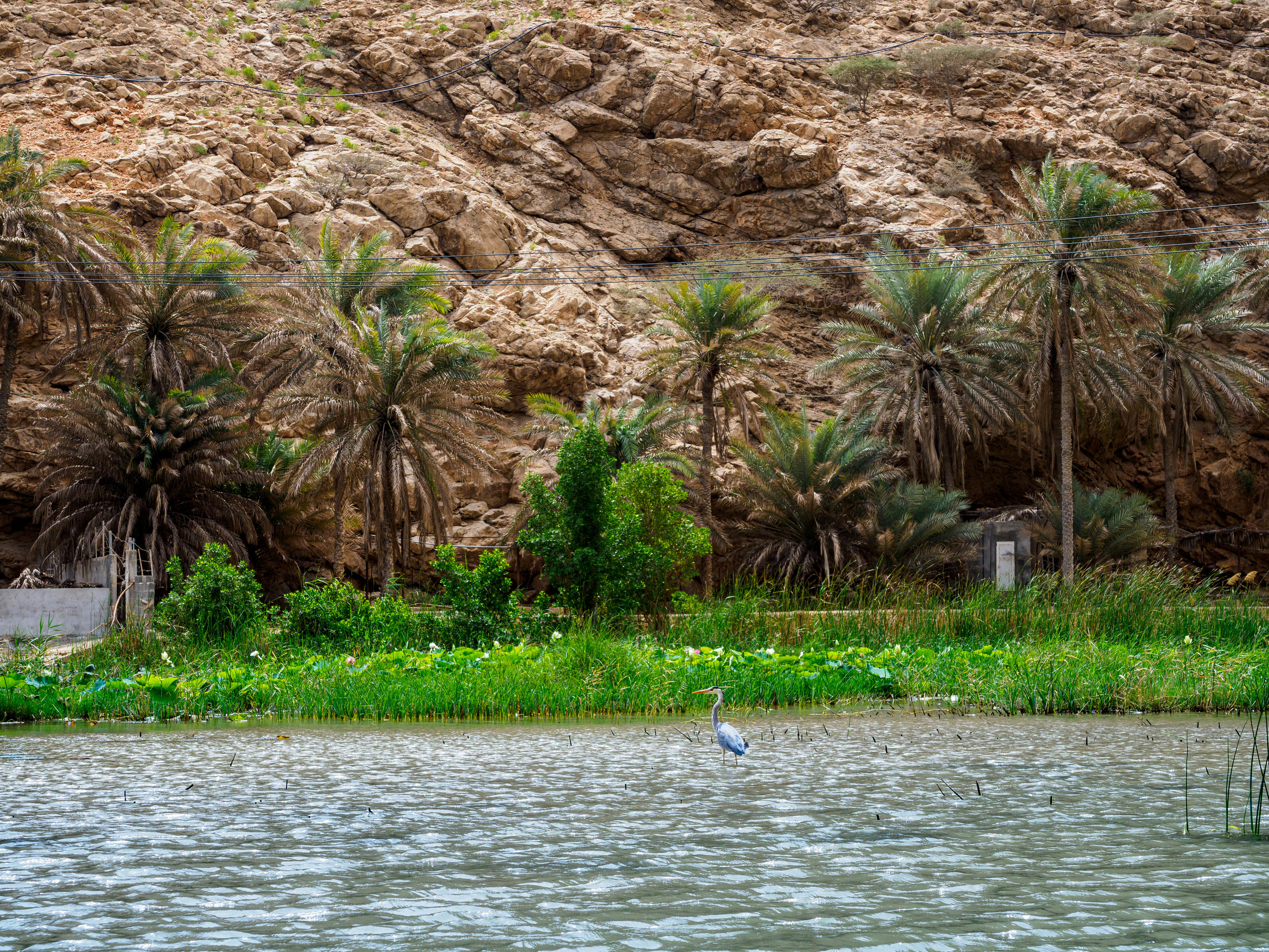 Оман. Творческие сьемки