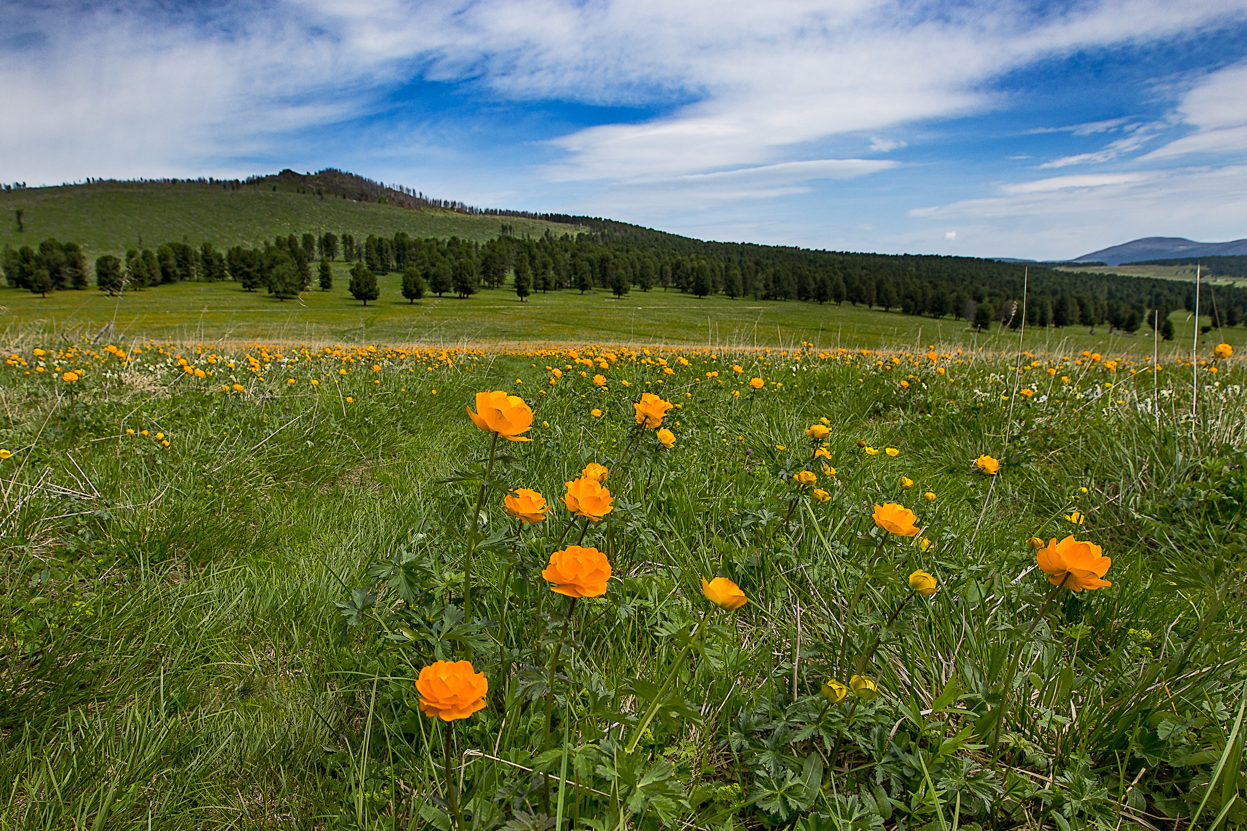 Алтай. Творческие сьемки