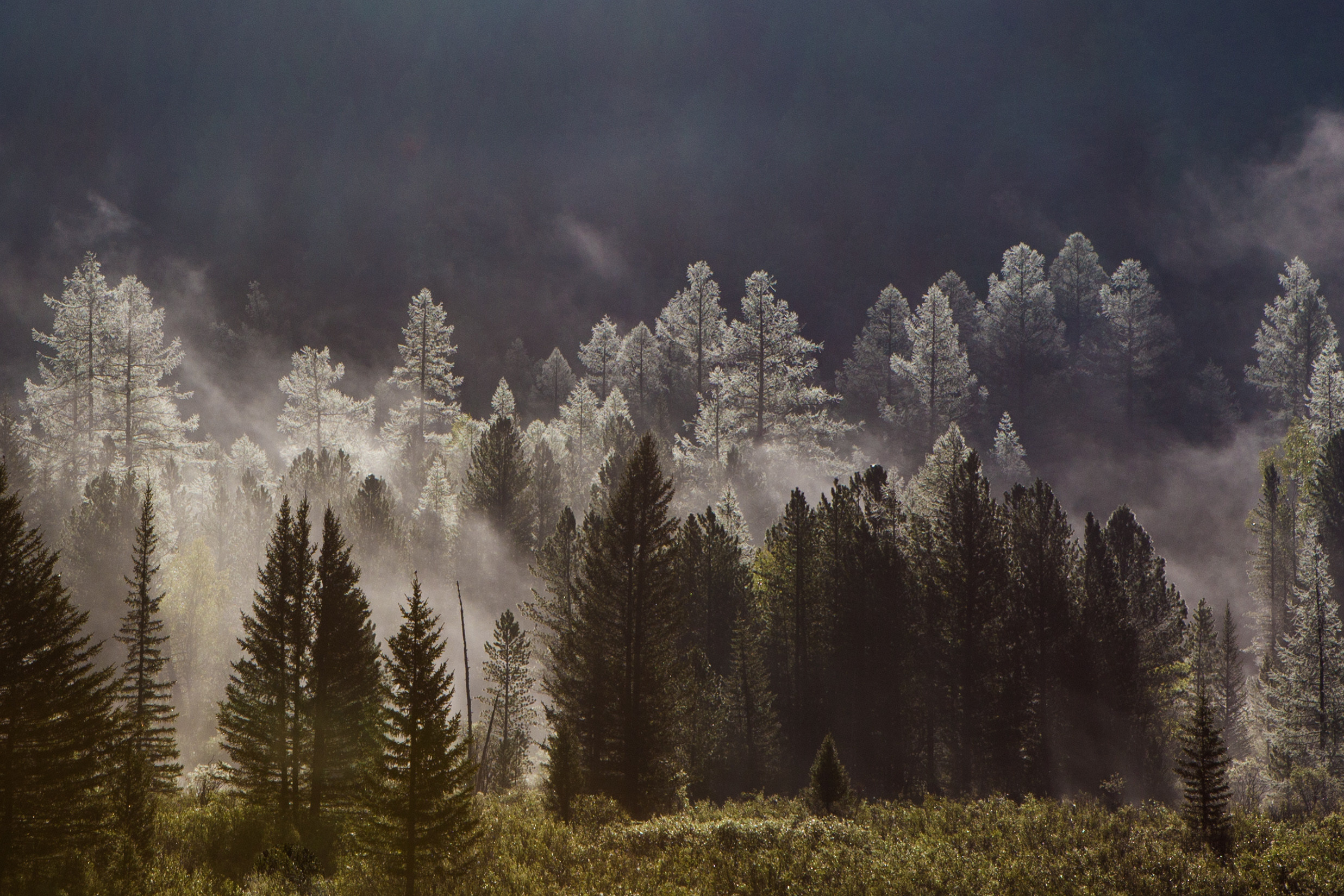 Алтай. Творческие сьемки