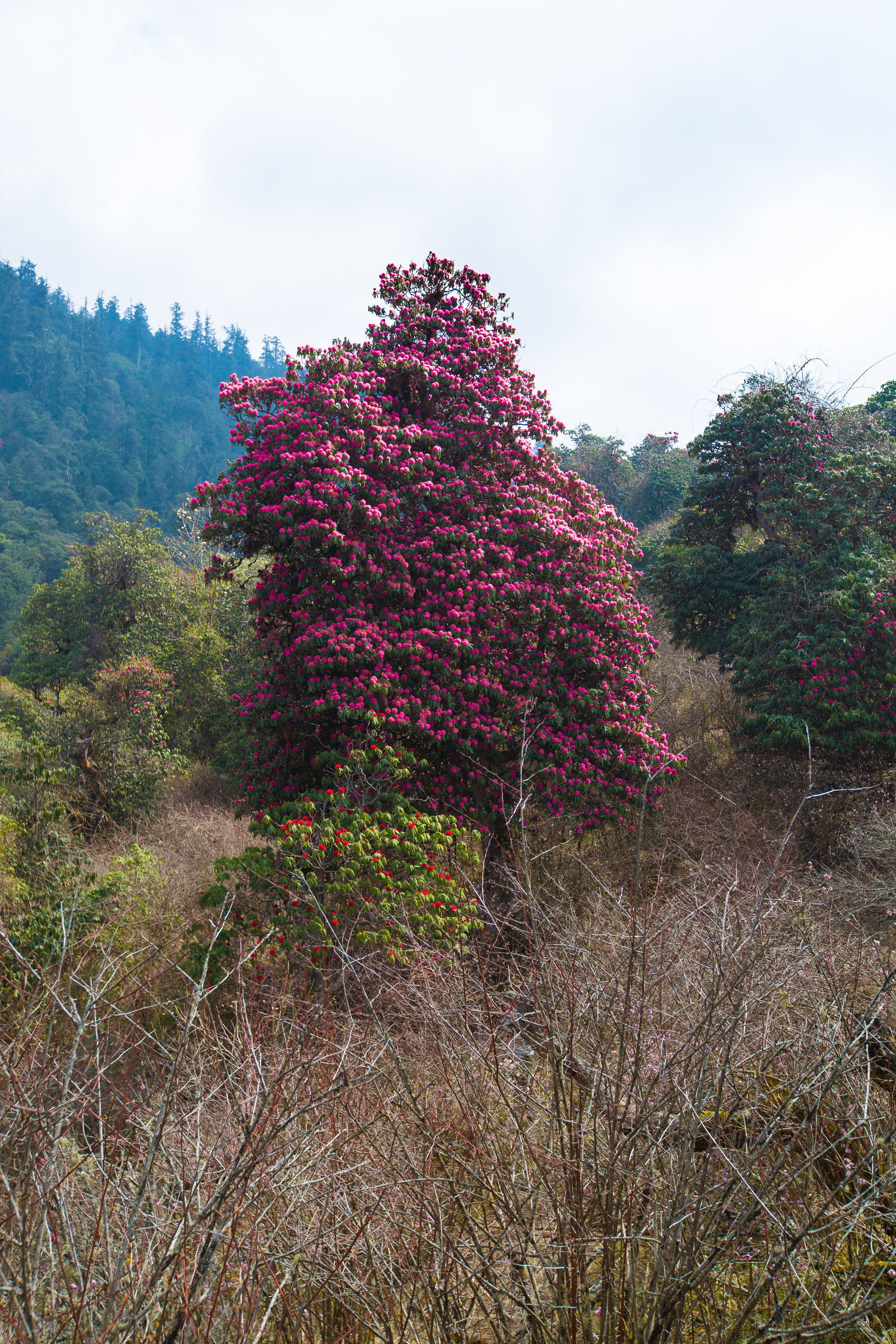 Непал. Творческие сьемки