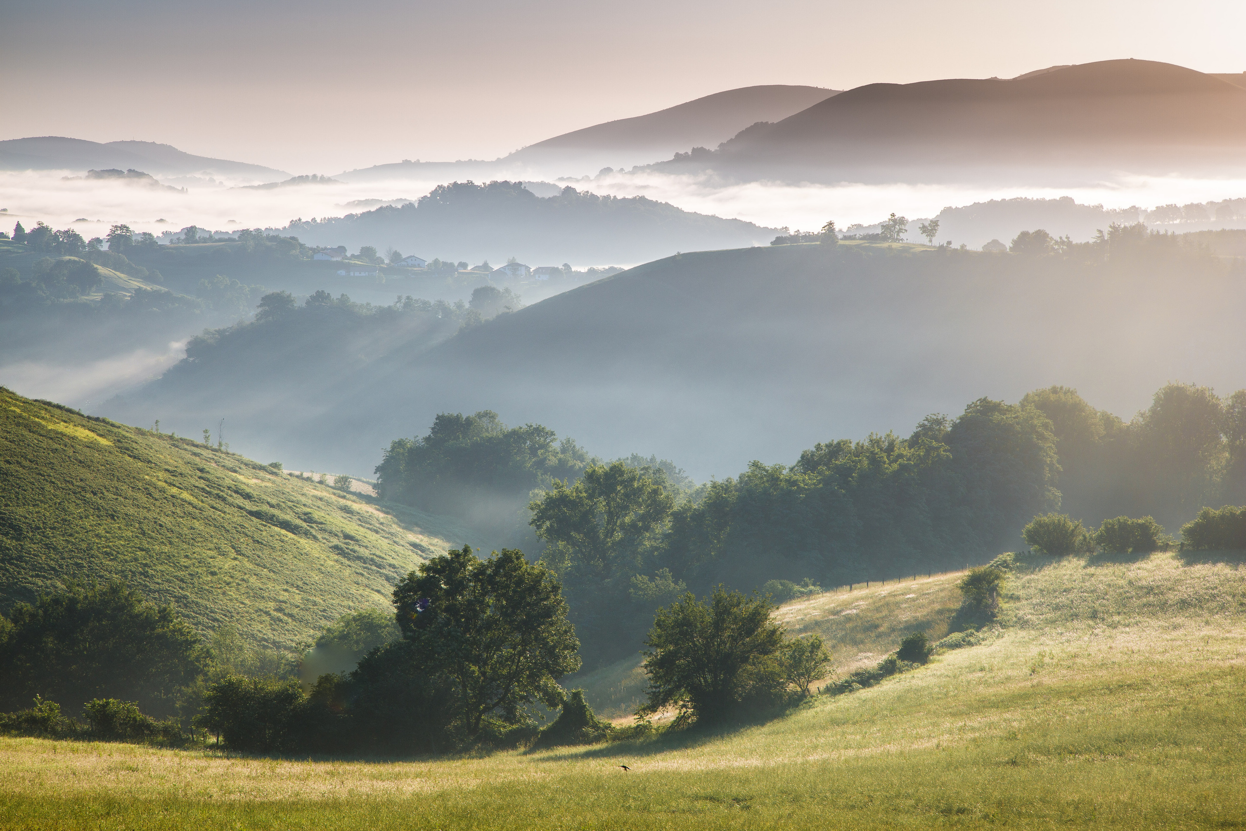 Испания, 2017, Путь Сантьяго из Сен-Жан-Пье-де-По. Творческие сьемки