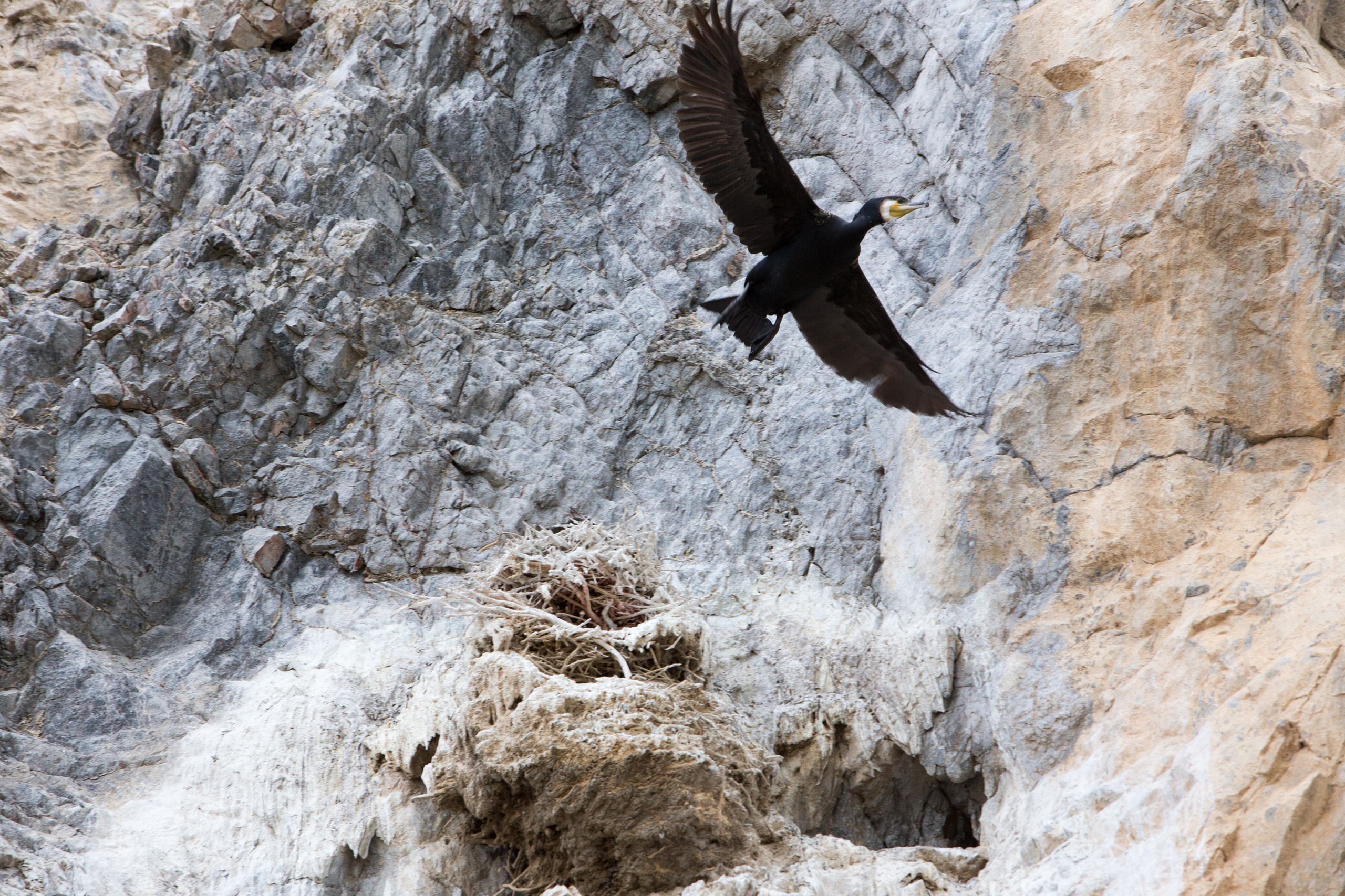Монголия. Творческие сьемки