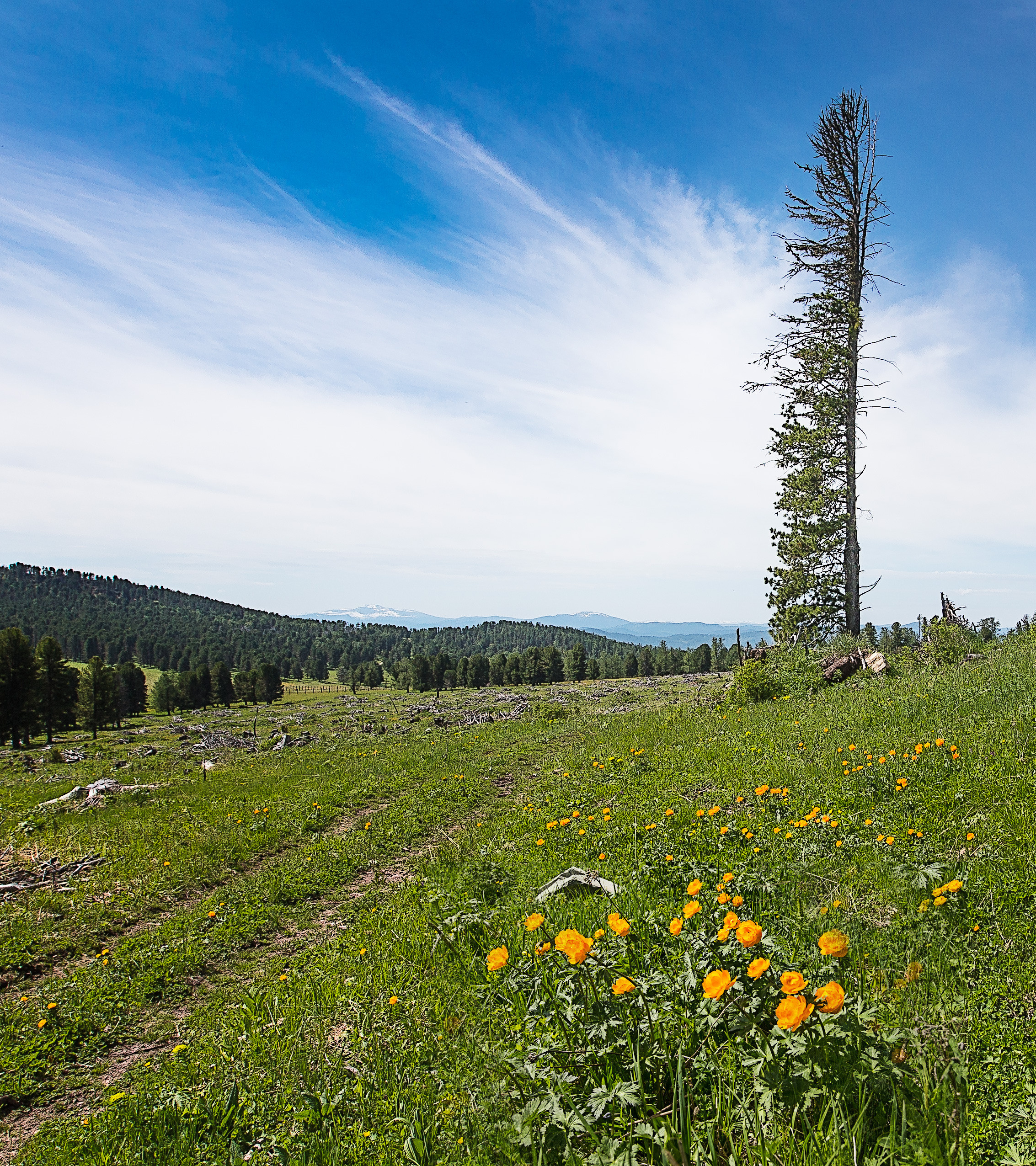 Алтай. Творческие сьемки