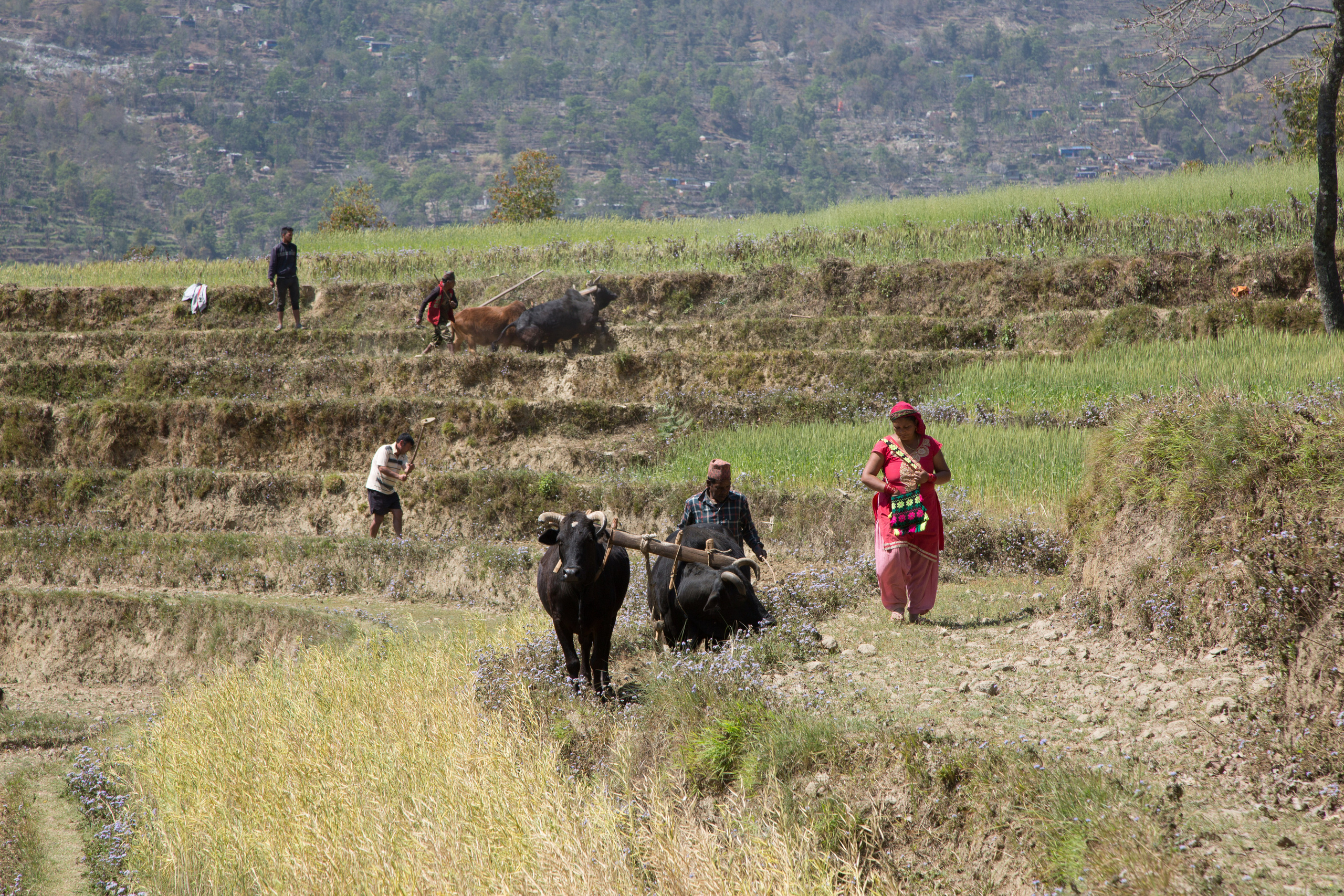 Непал. Творческие сьемки