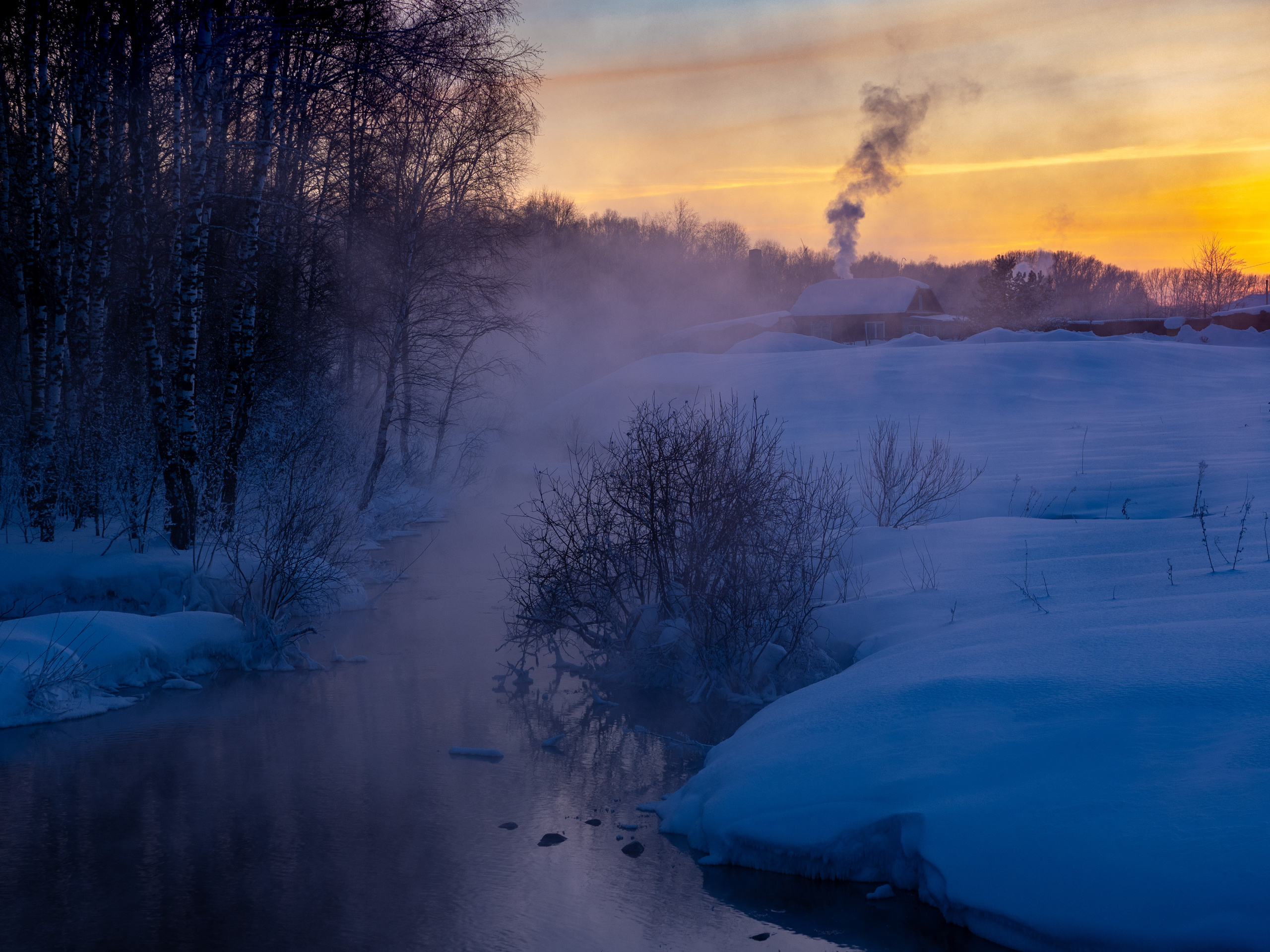 Зимовка лебедей на оз.Светлое, Алтай. Творческие сьемки