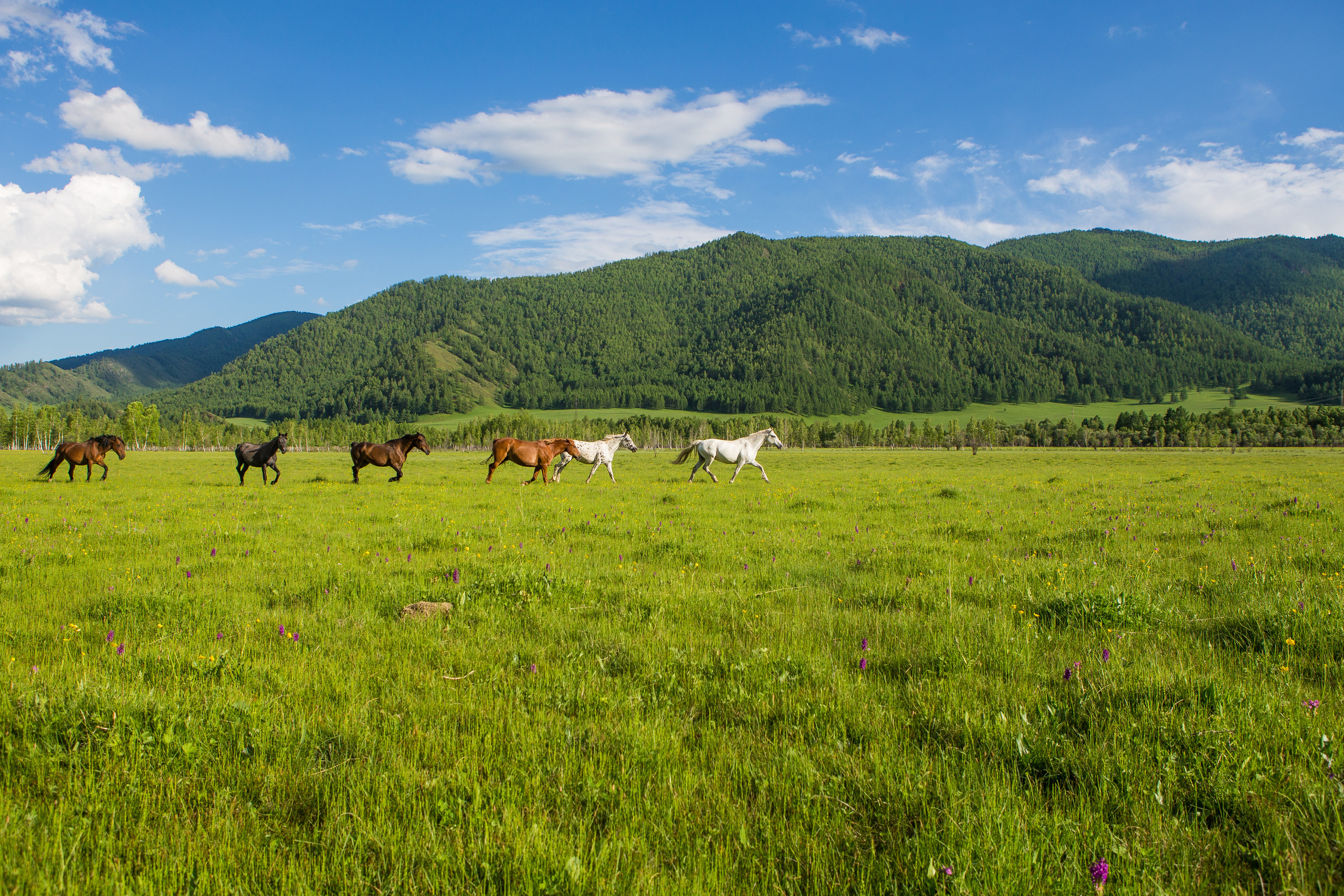 Алтай. Творческие сьемки