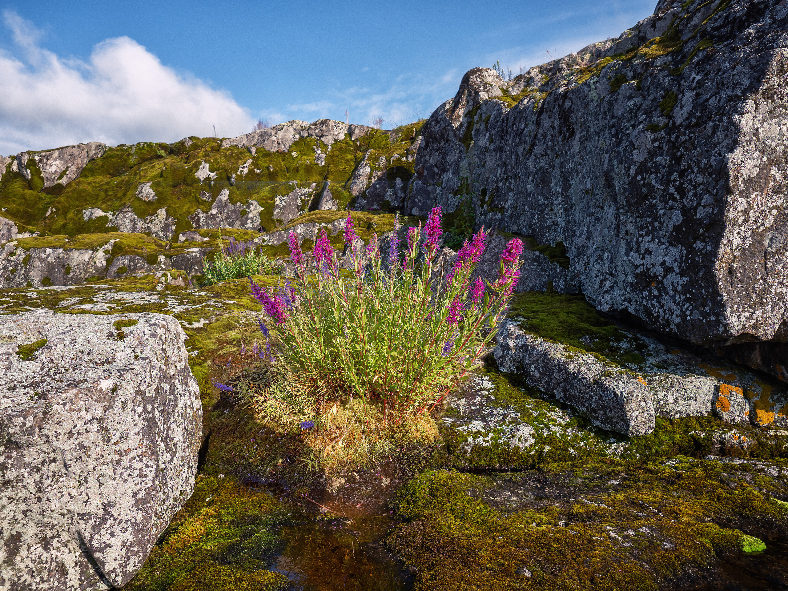 Карелия, Ладога. Творческие сьемки