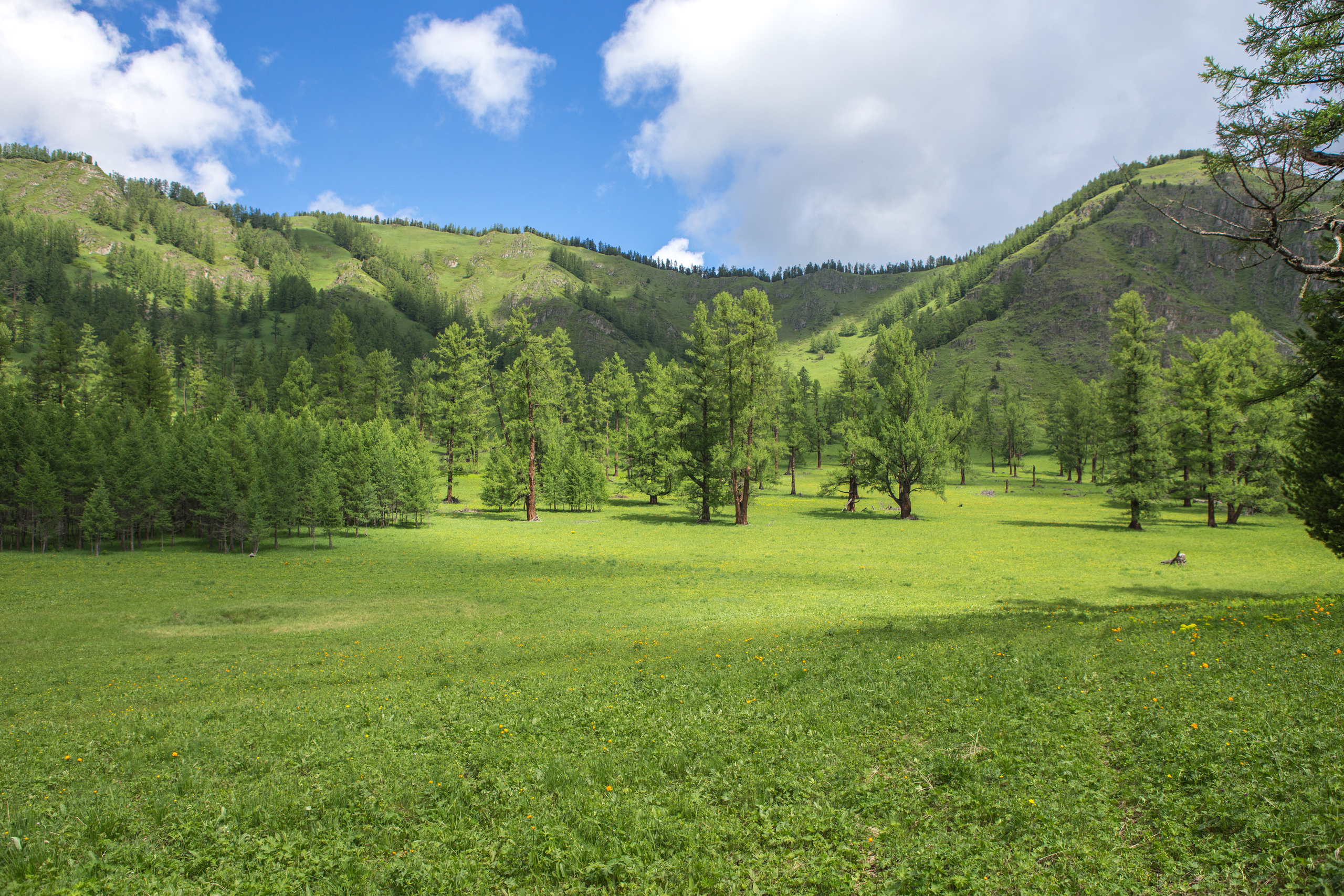 Алтай. Творческие сьемки