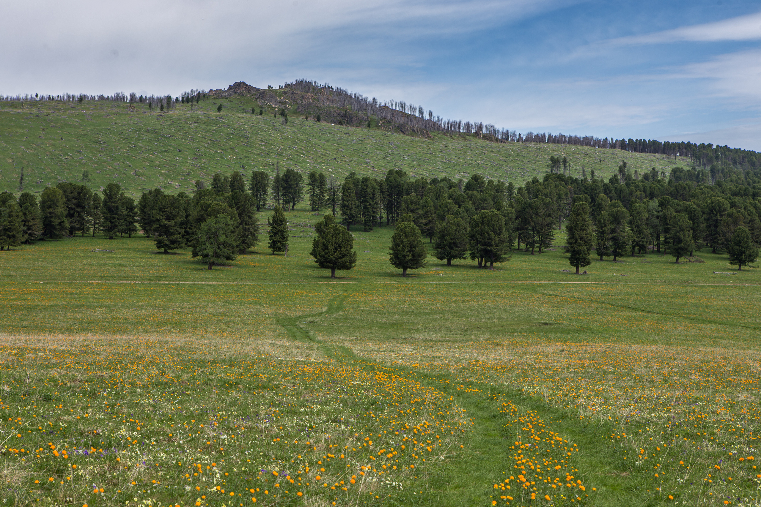 Алтай. Творческие сьемки