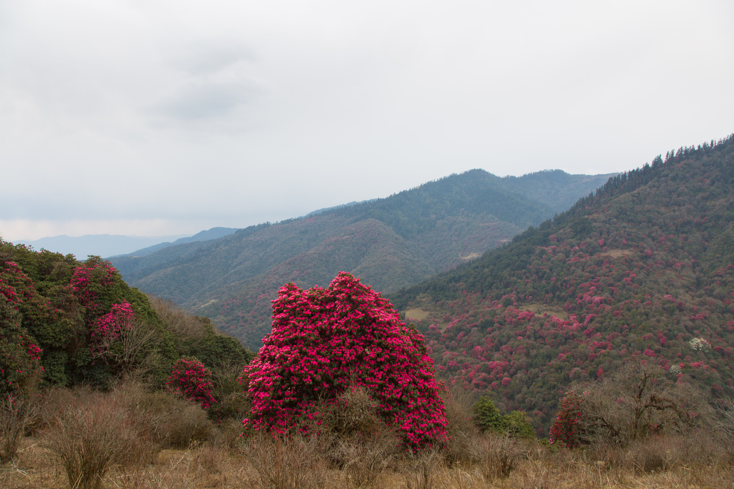 Непал. Творческие сьемки