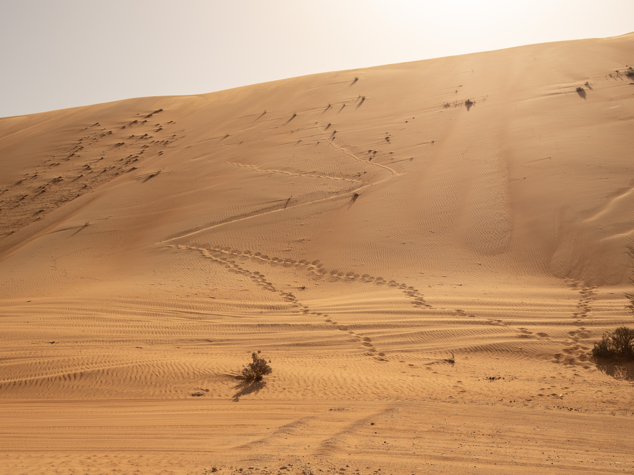 Оман. Творческие сьемки