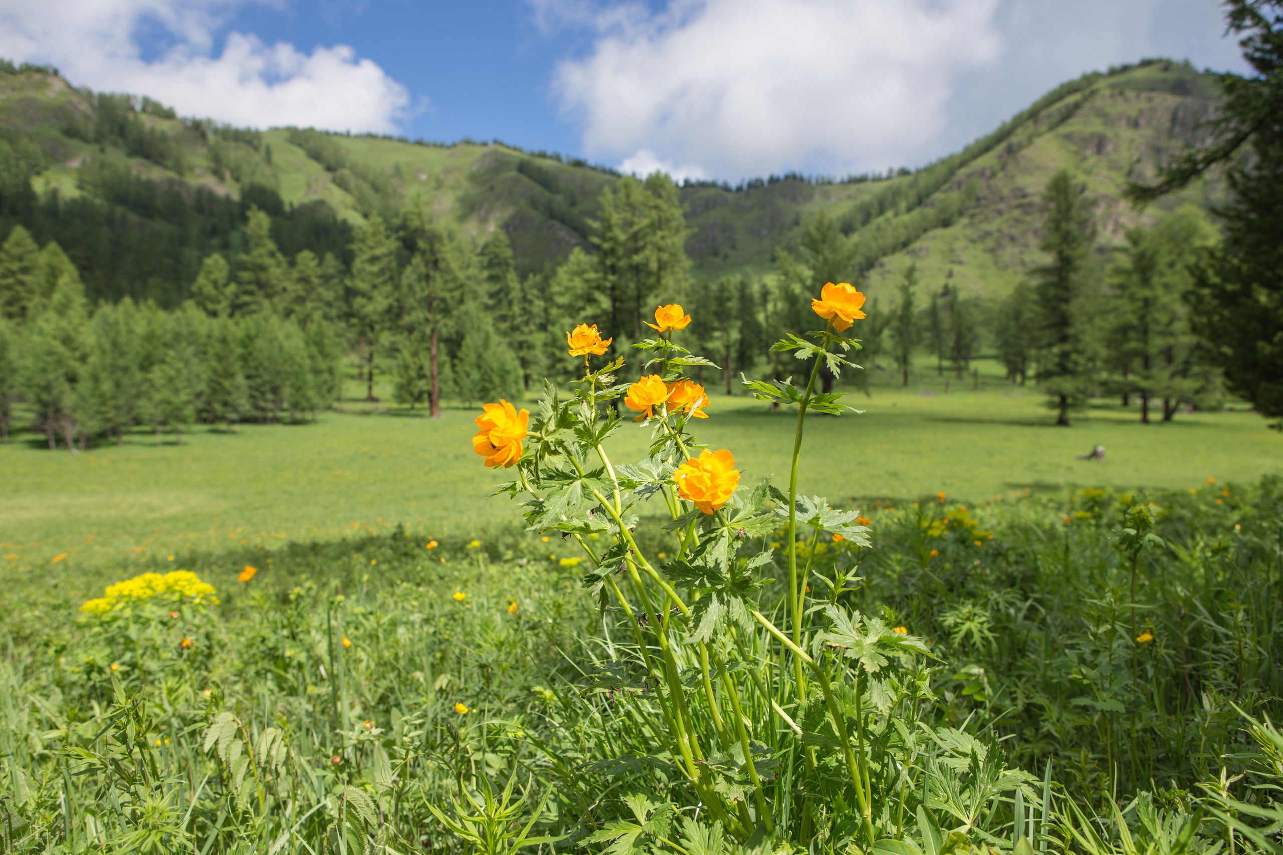 Алтай. Творческие сьемки