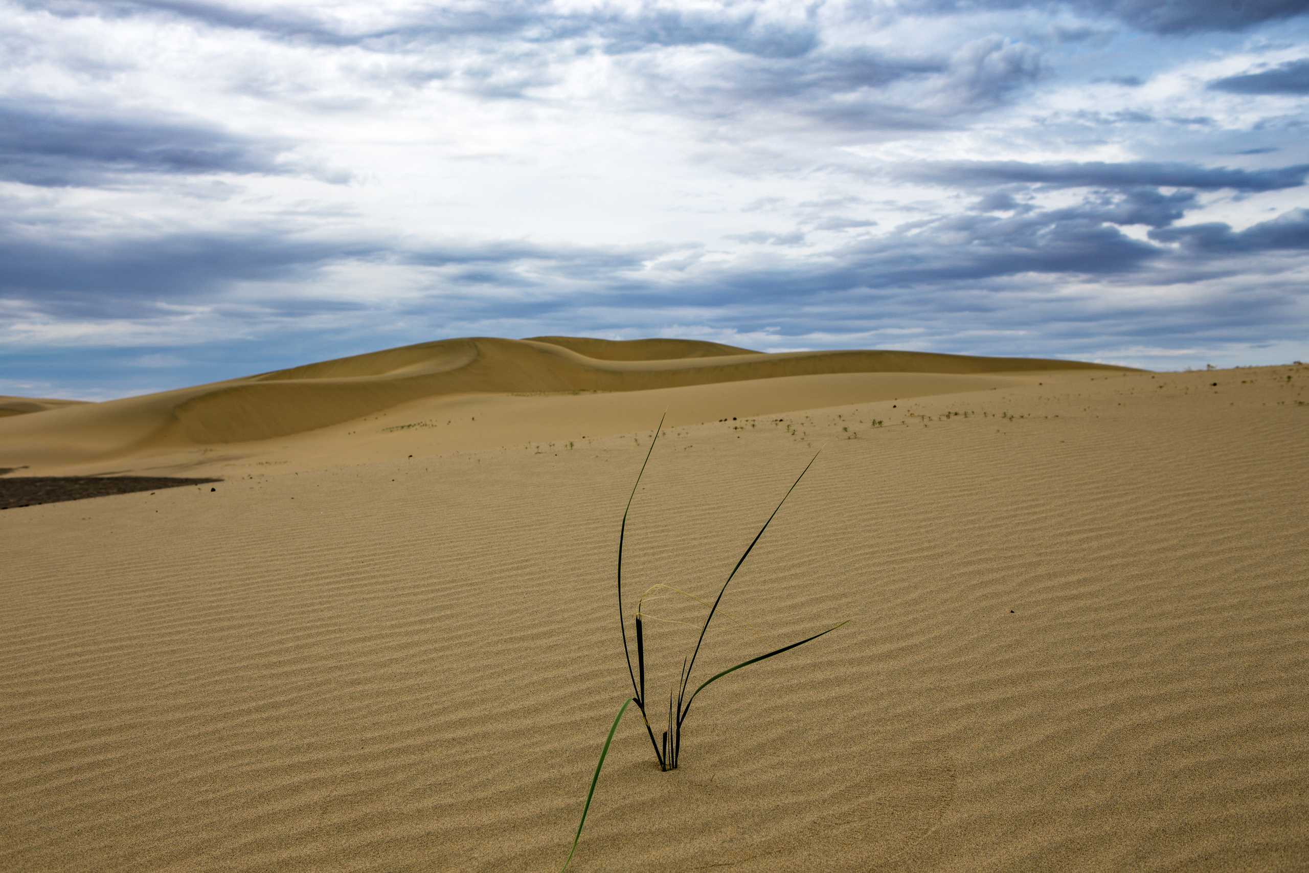 Монголия. Творческие сьемки