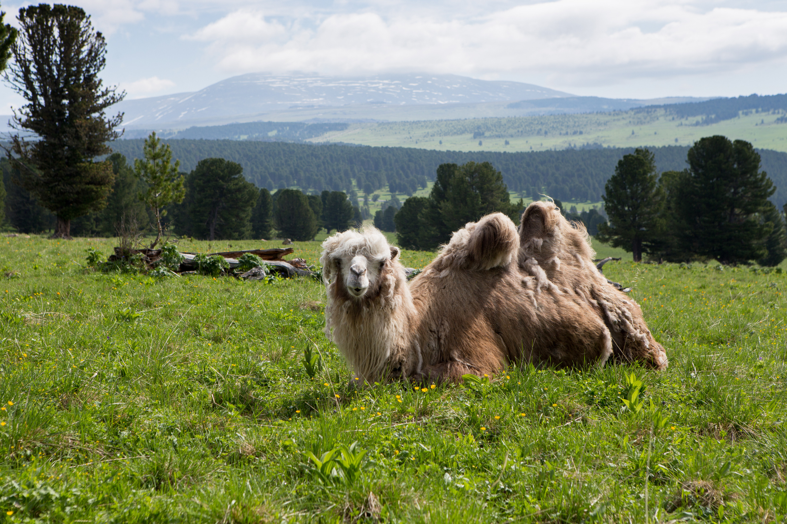 Алтай. Творческие сьемки