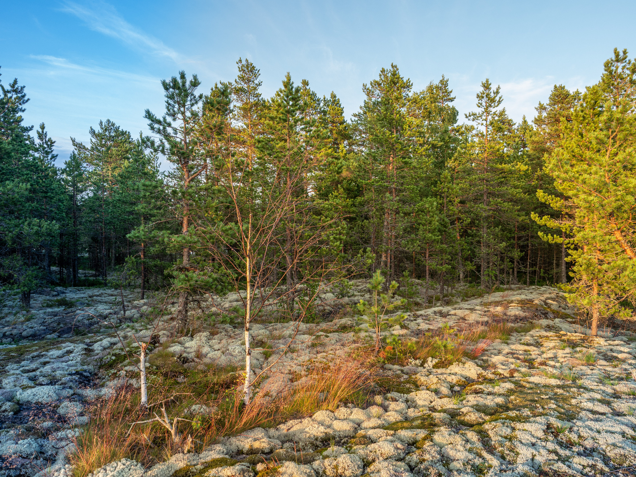 Карелия, Ладога. Творческие сьемки