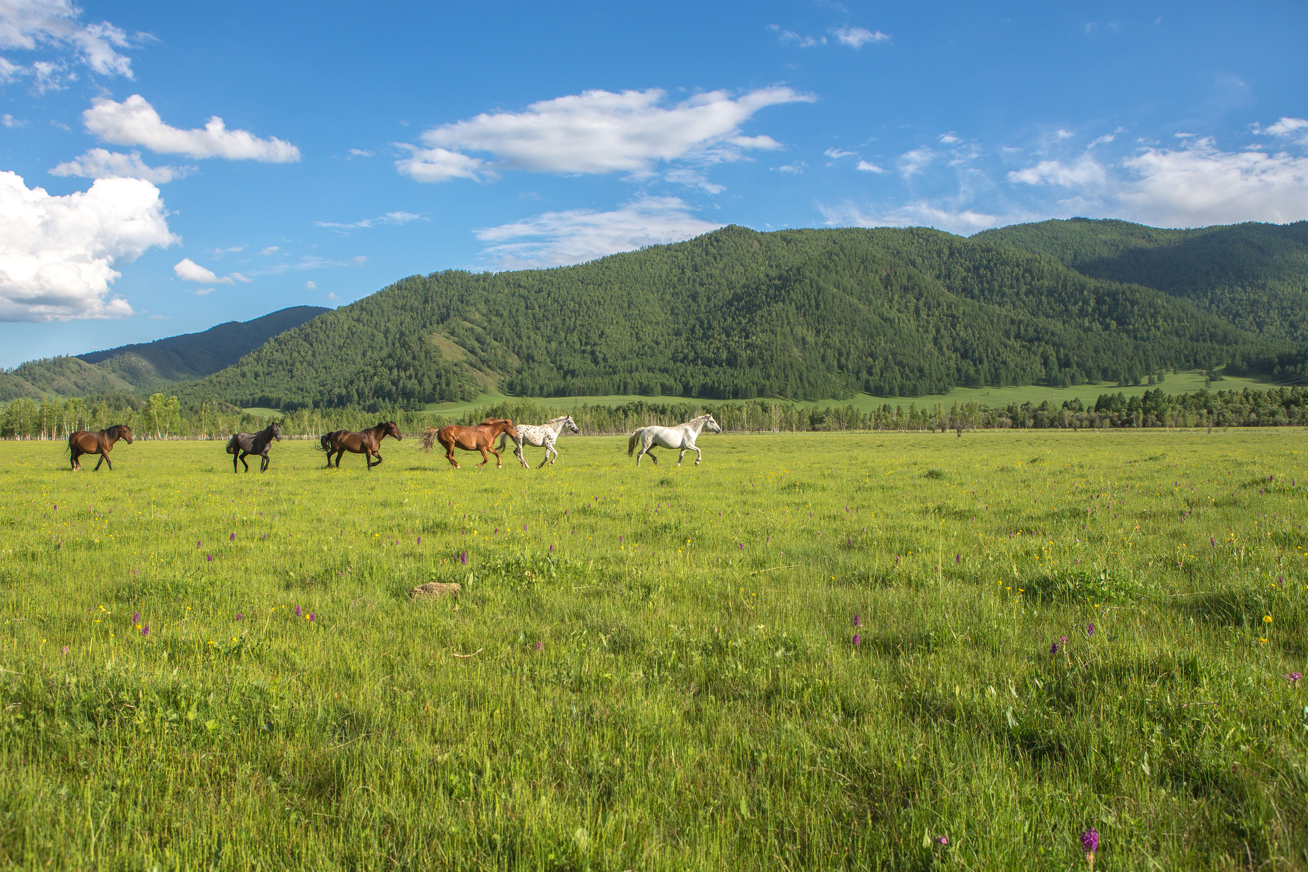 Алтай. Творческие сьемки