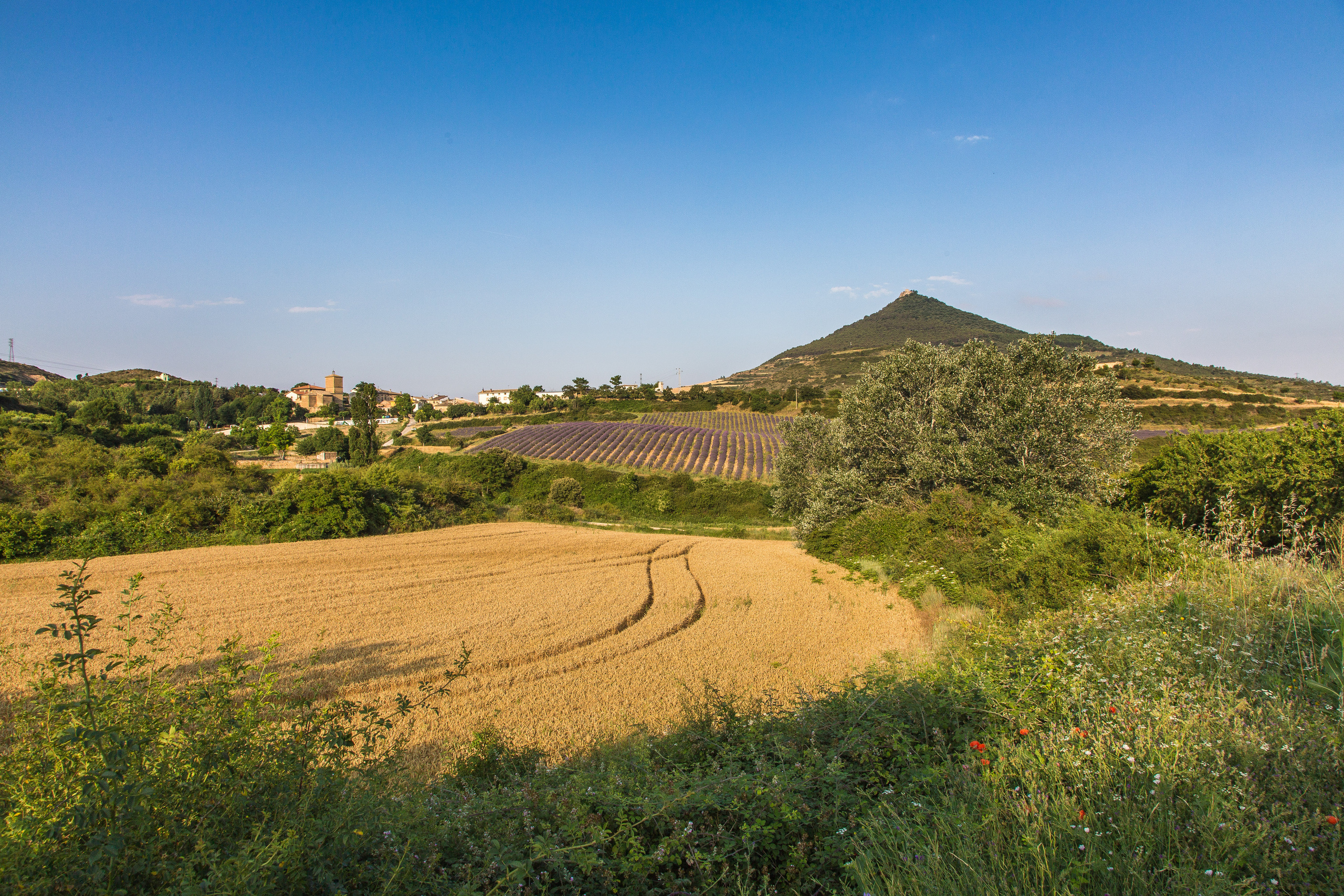 Испания, 2017, Путь Сантьяго из Сен-Жан-Пье-де-По. Творческие сьемки