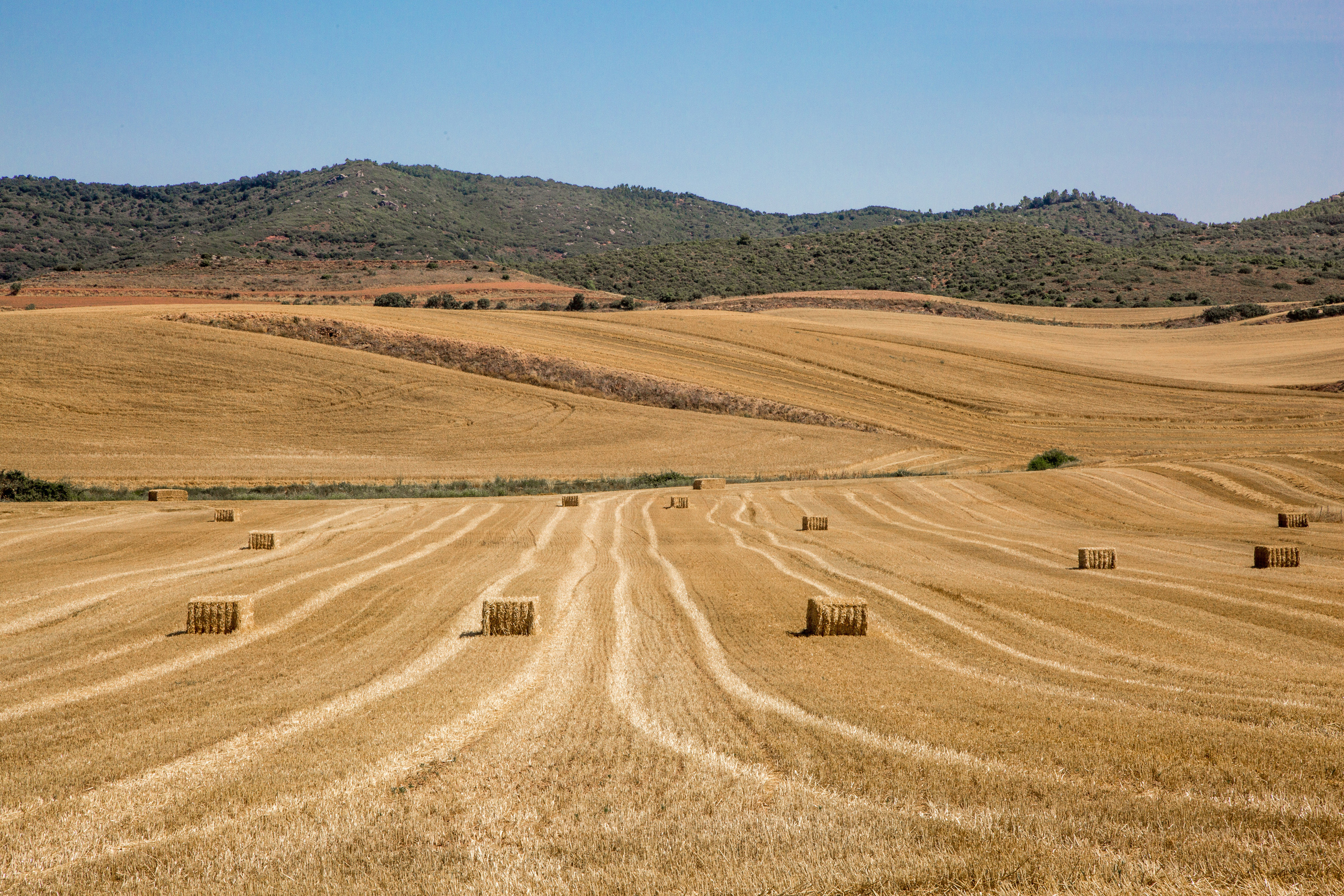 Испания, 2017, Путь Сантьяго из Сен-Жан-Пье-де-По. Творческие сьемки