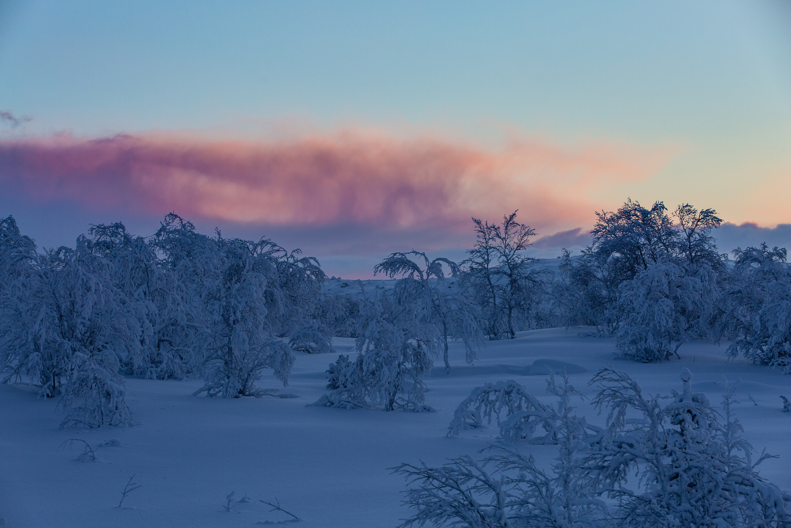Мурманск, северное сияние. Творческие сьемки