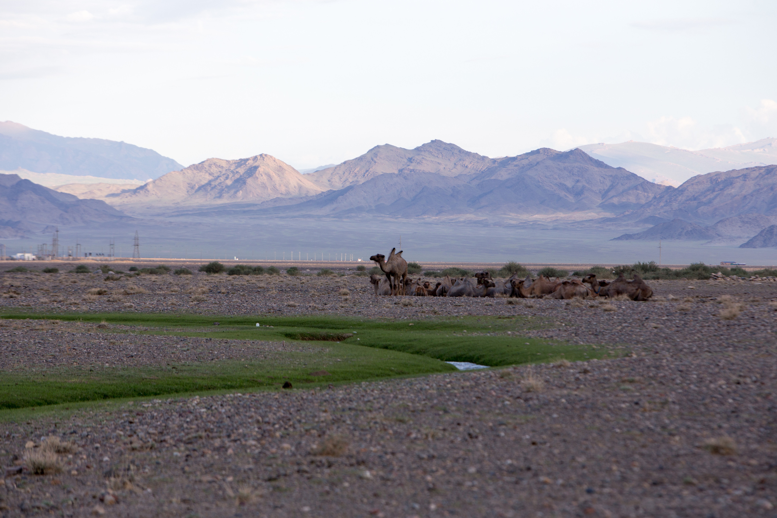 Монголия. Творческие сьемки