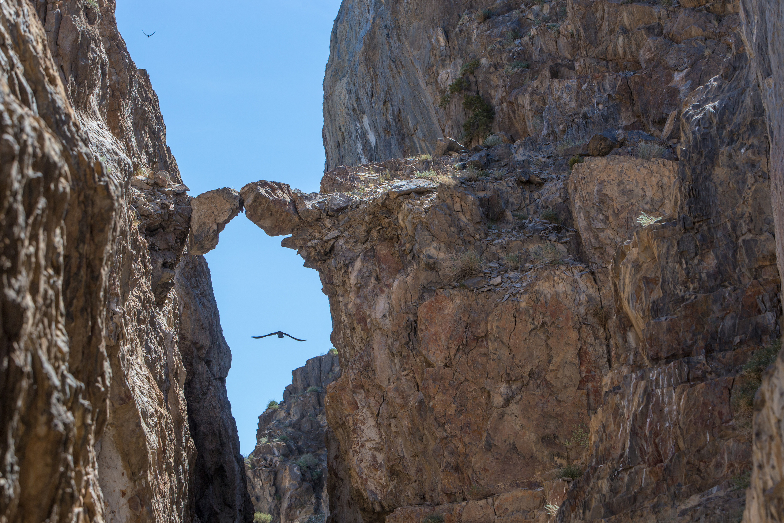 Монголия. Творческие сьемки