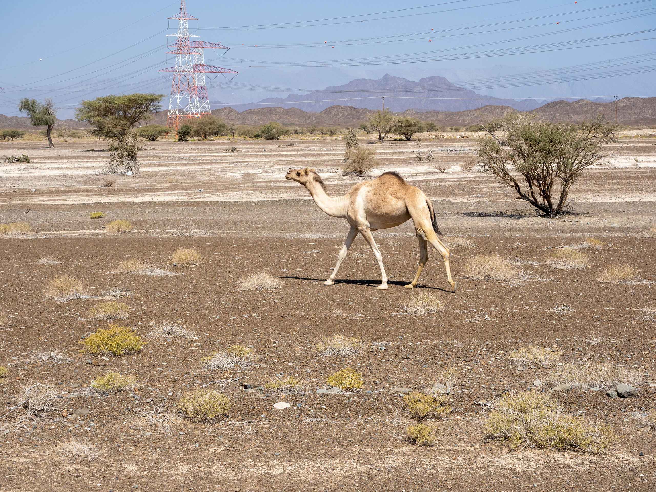 Оман. Творческие сьемки
