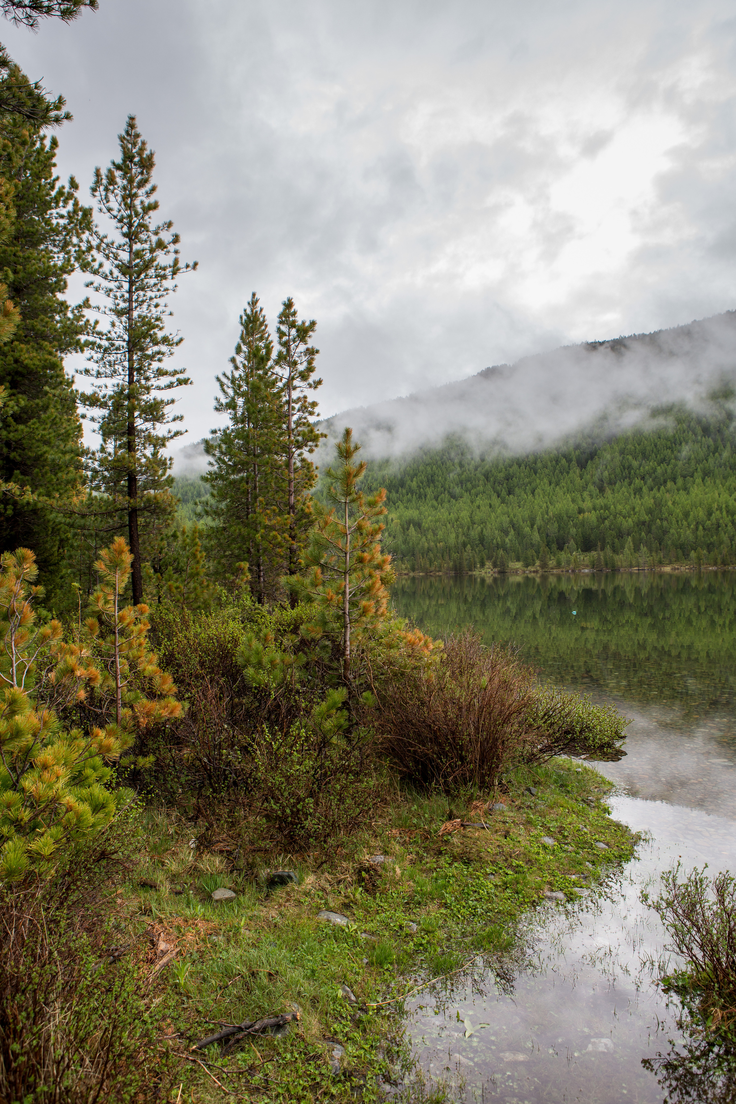 Алтай. Творческие сьемки