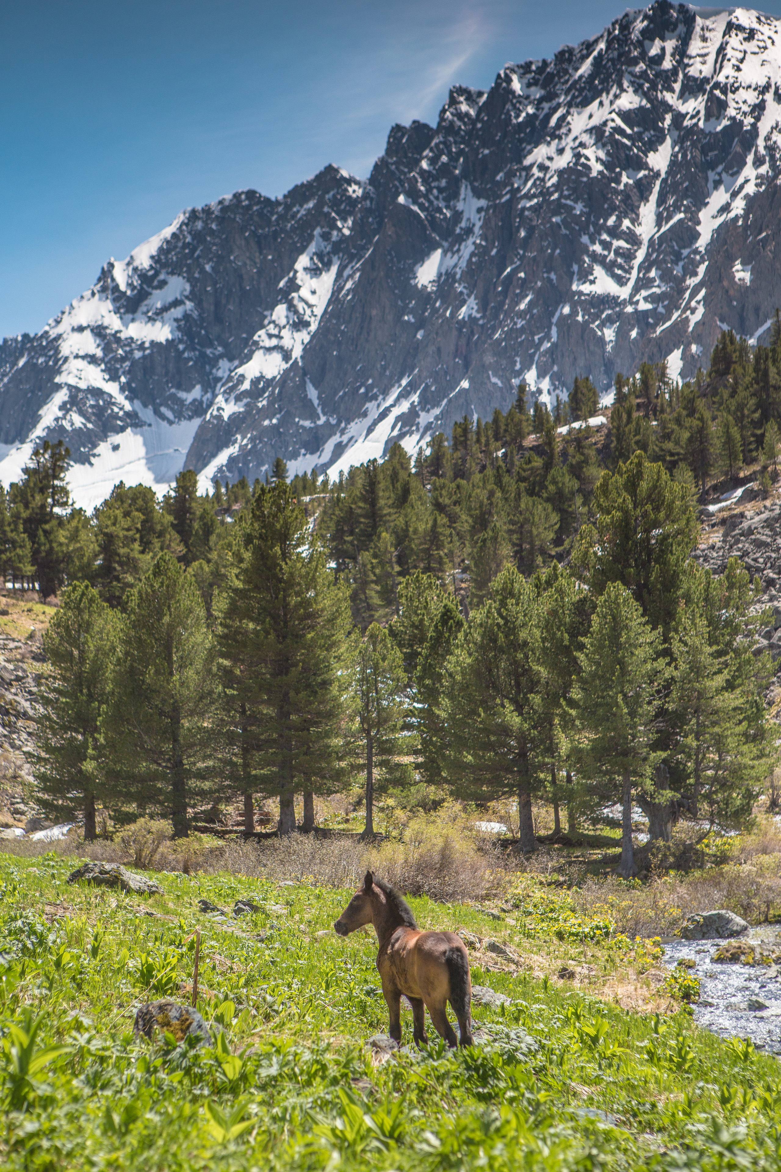 Алтай. Творческие сьемки