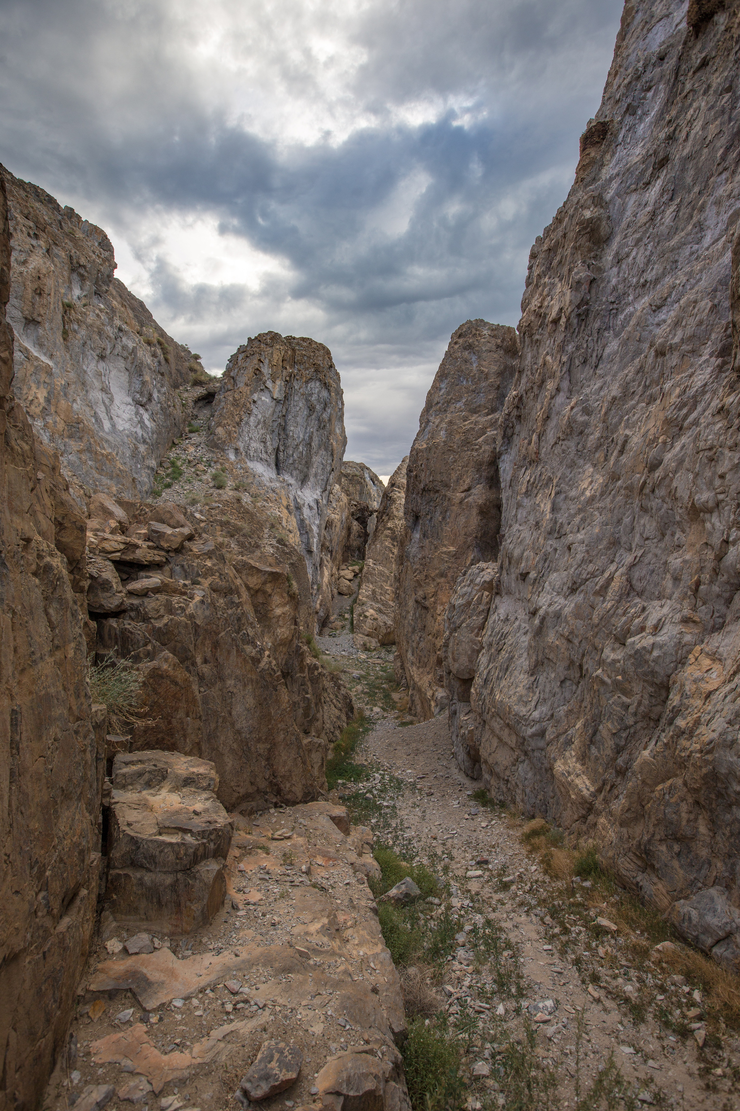 Монголия. Творческие сьемки