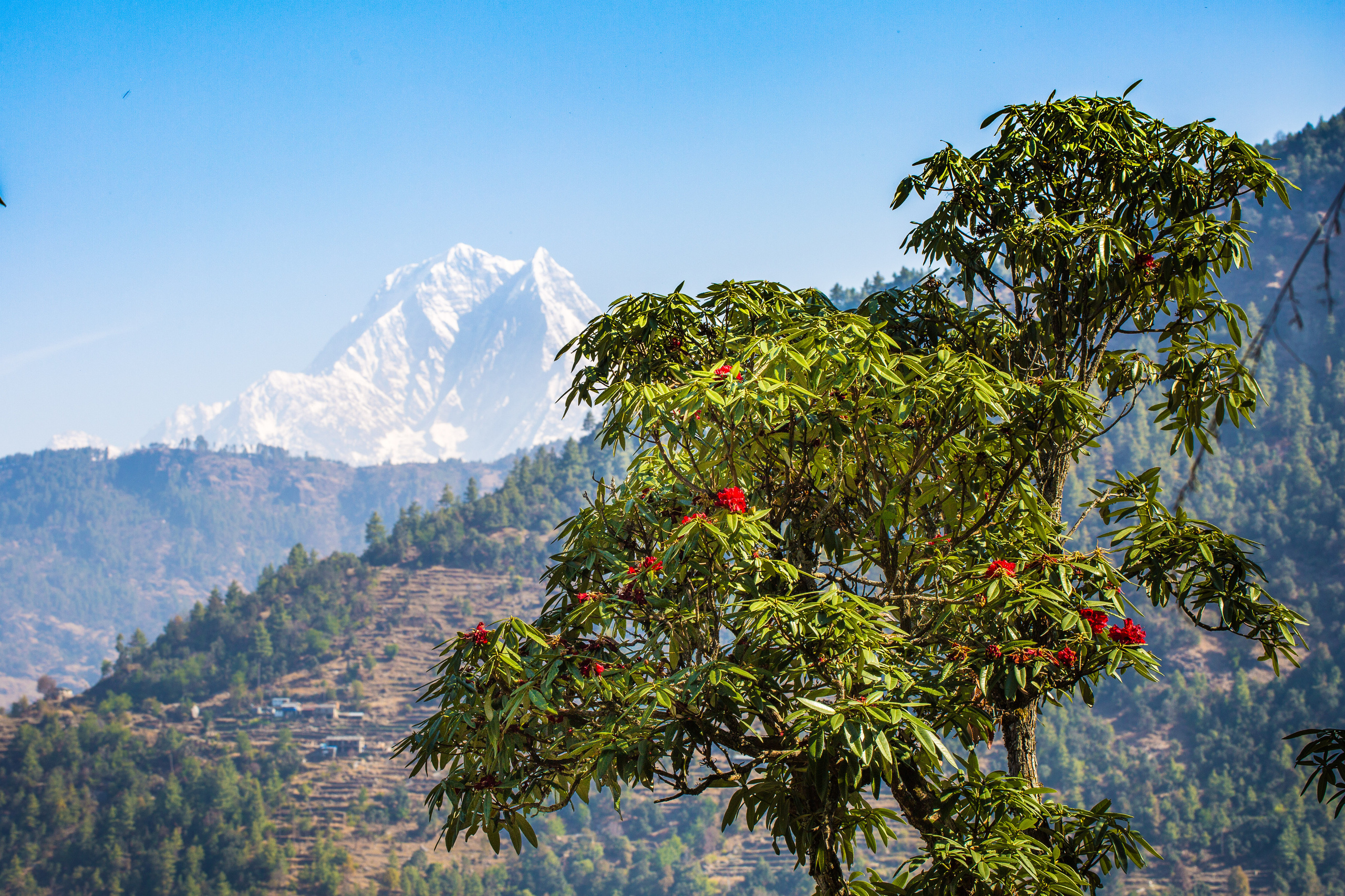 Непал. Творческие сьемки